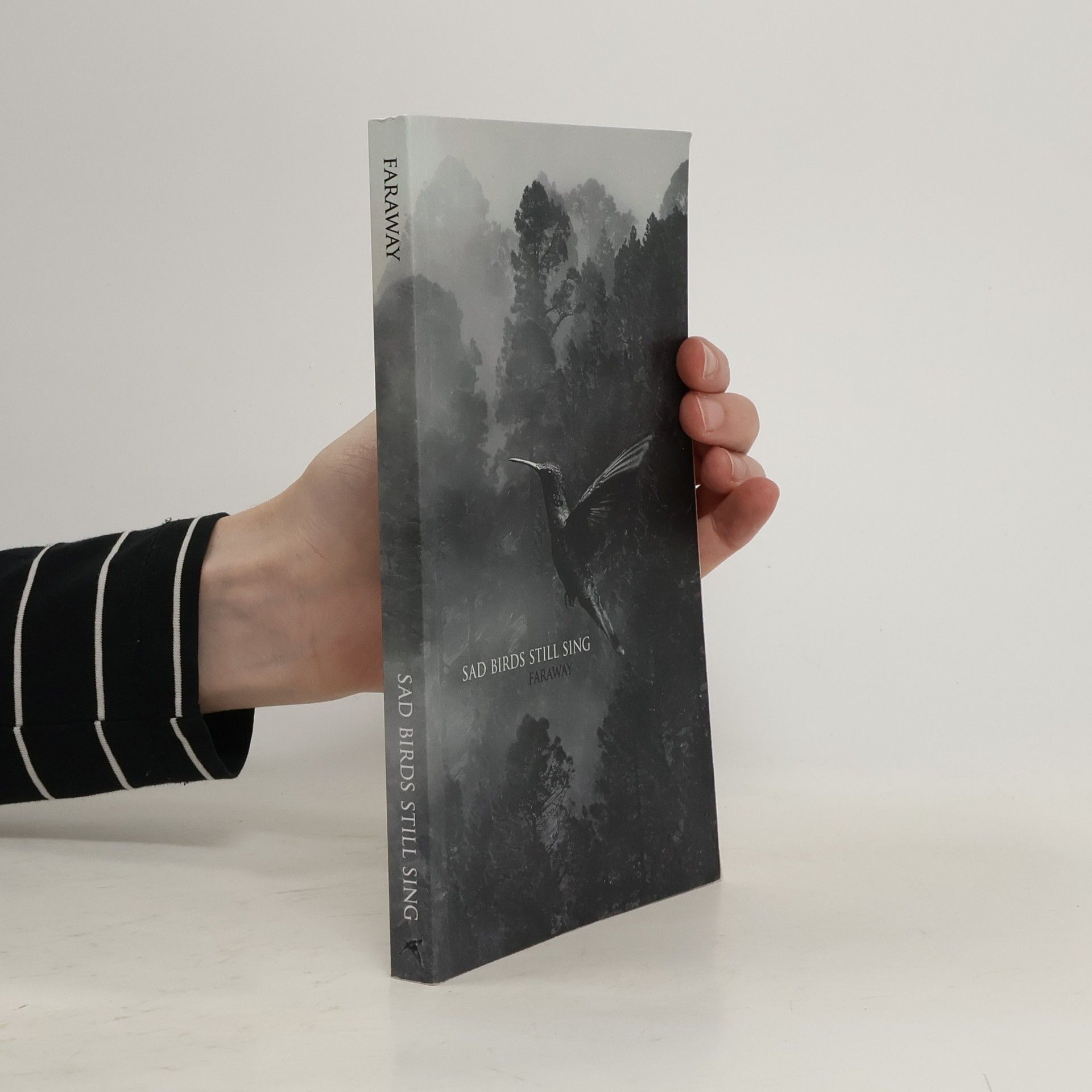 Sad Birds Still Sing