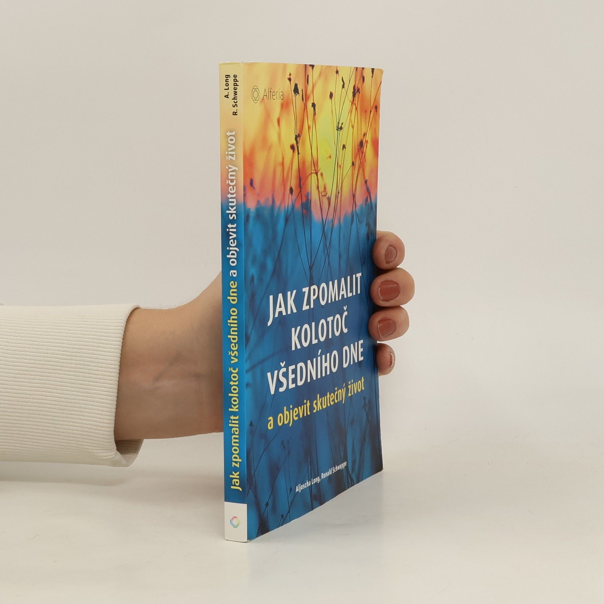 Aljoscha Long Jak zpomalit kolotoč všedního dne a objevit skutečný život