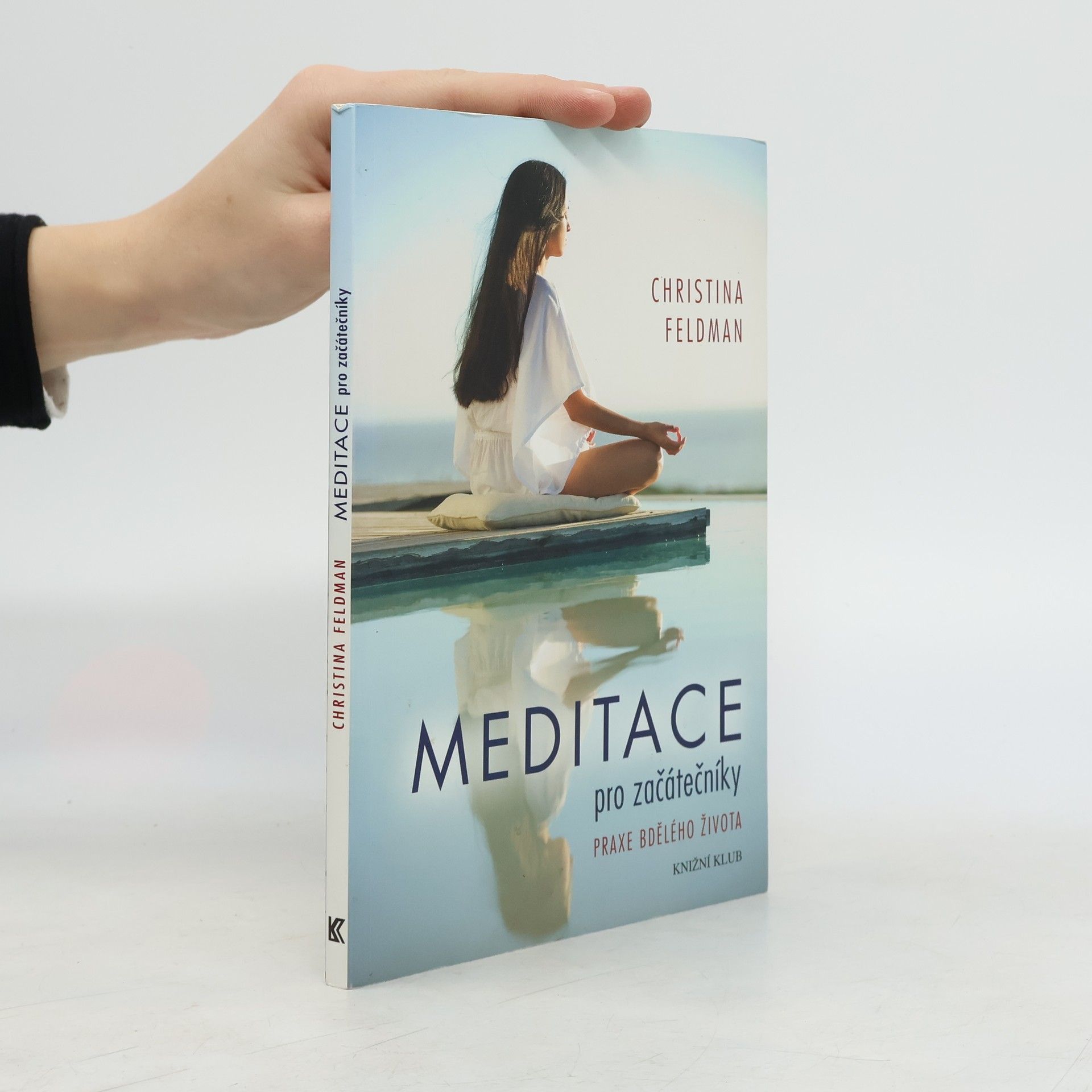 Meditace pro začátečníky. Praxe bdělého života