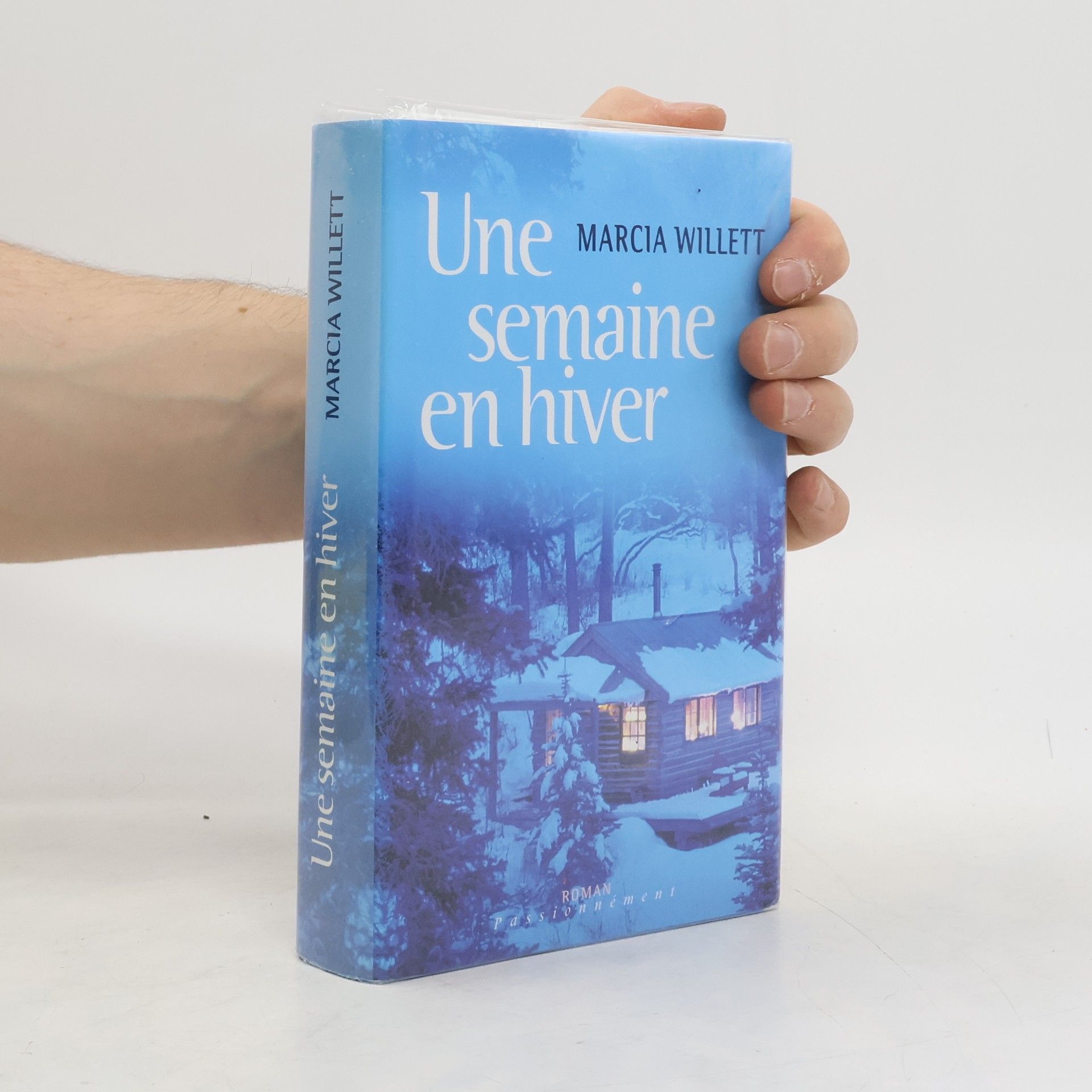 Marcia Willett Une semaine en hiver