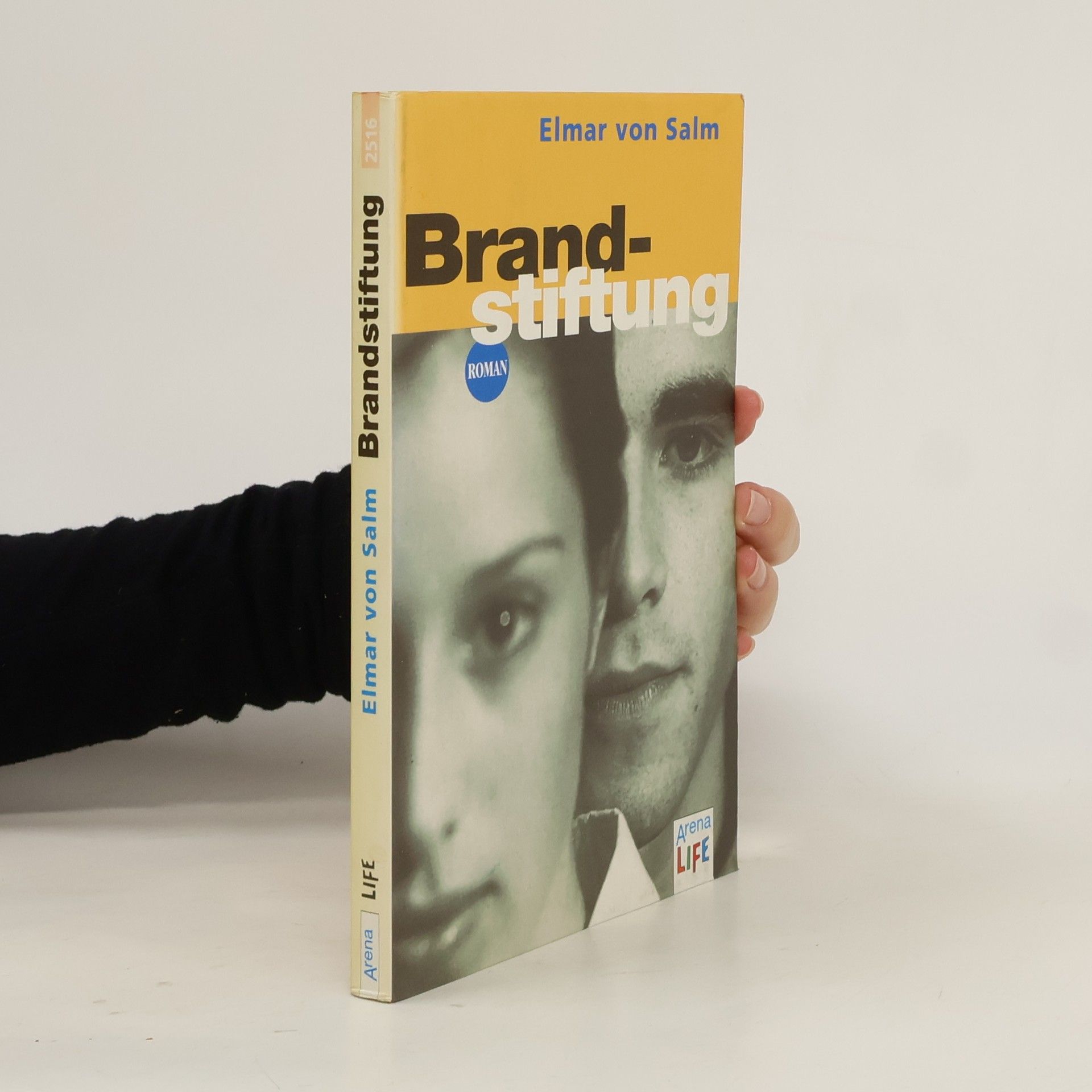 Elmar von Salm Brandstiftung