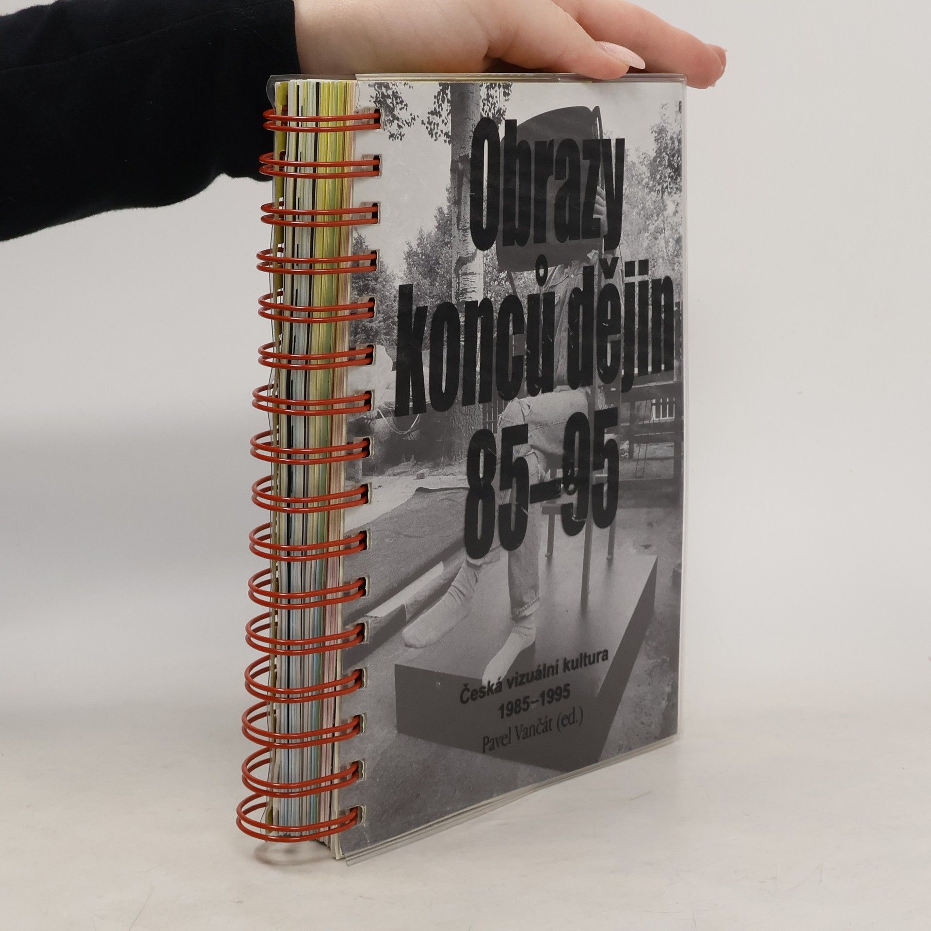 Obrazy konců dějin 85-95. Česká vizuální kultura 1985-1995