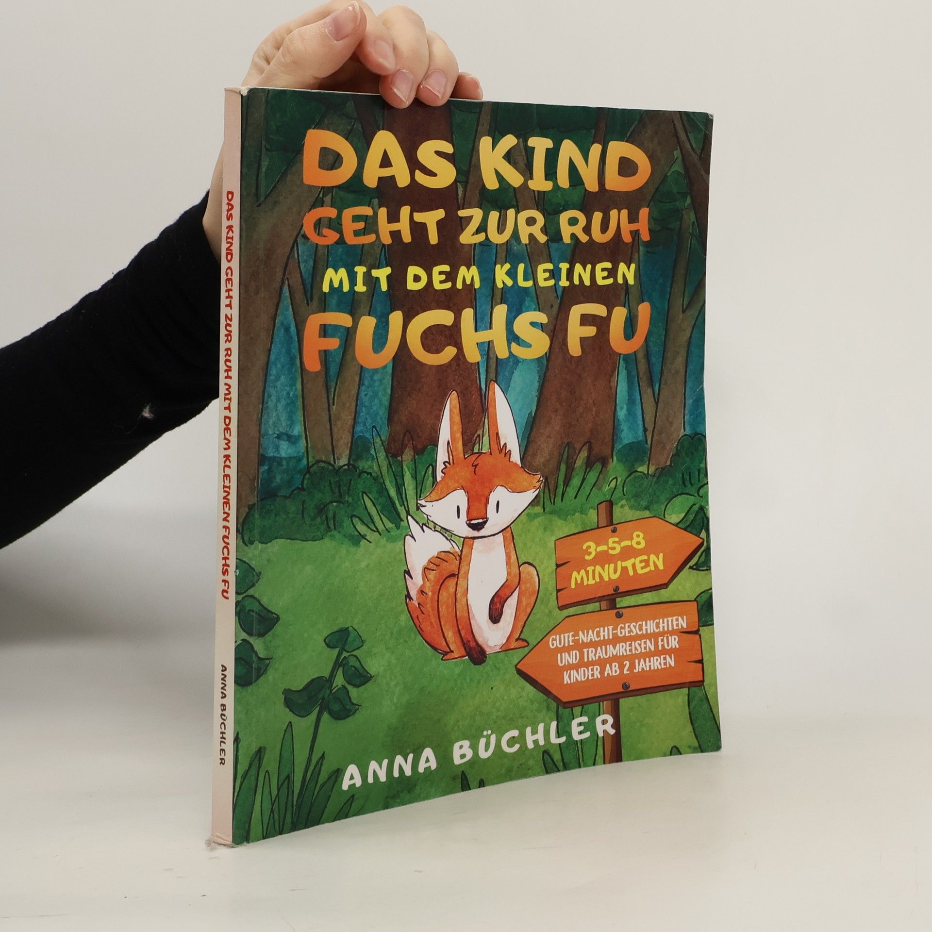Anna Büchler Das Kind geht zur Ruh mit dem kleinen Fuchs Fu