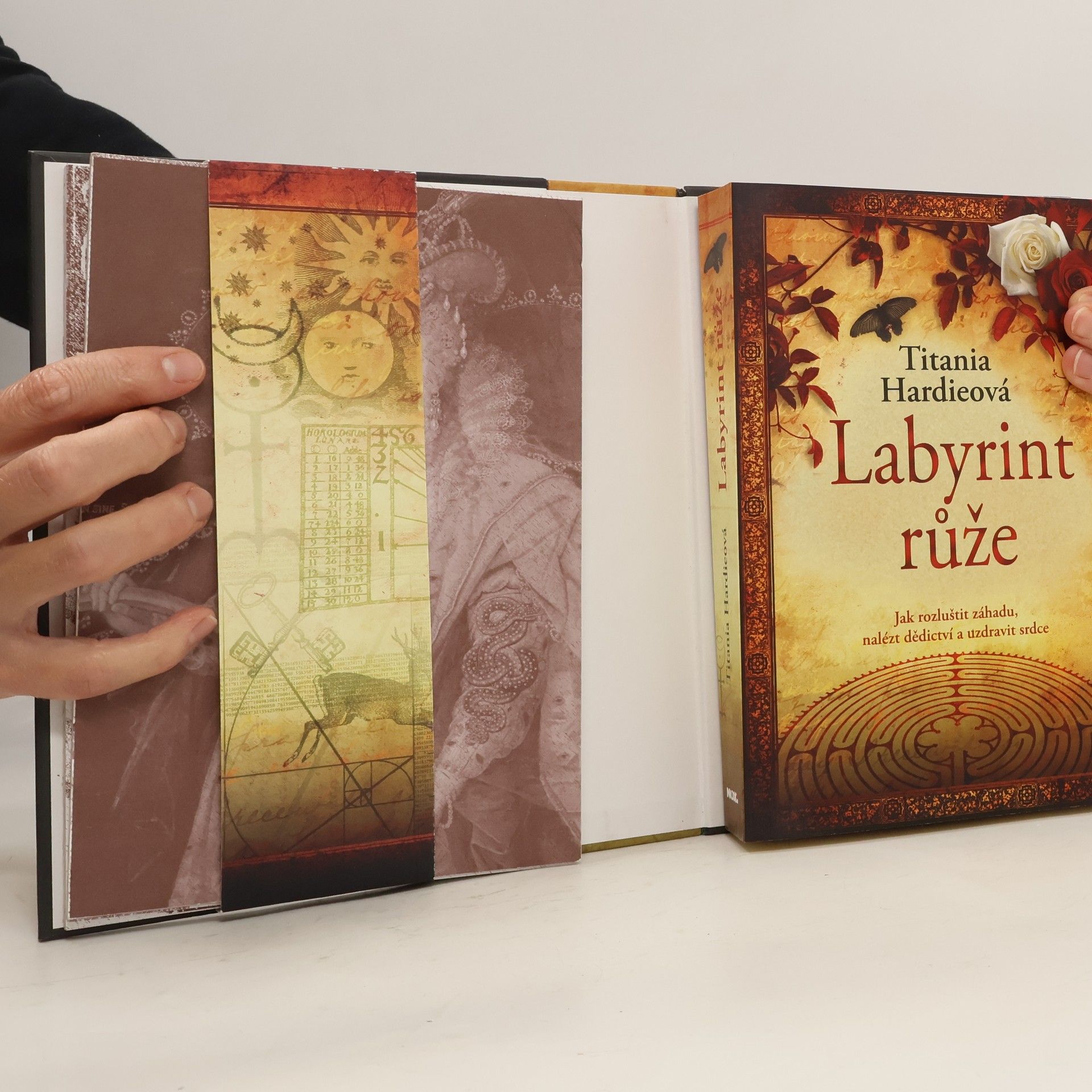 Titania Hardie Labyrint růže