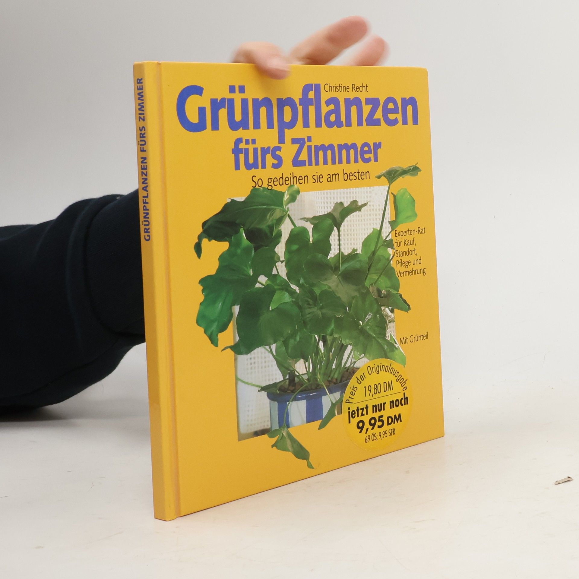 Christine Recht Grünpflanzen fürs Zimmer