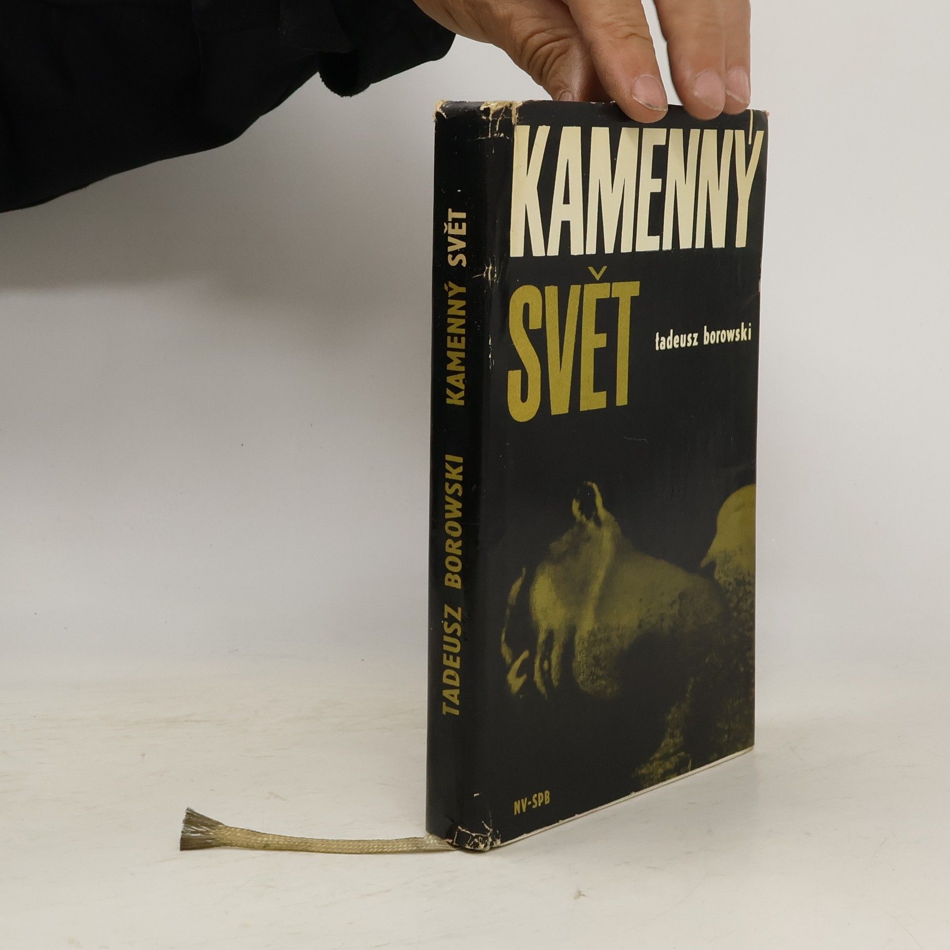 Tadeusz Borowski Kamenný svět