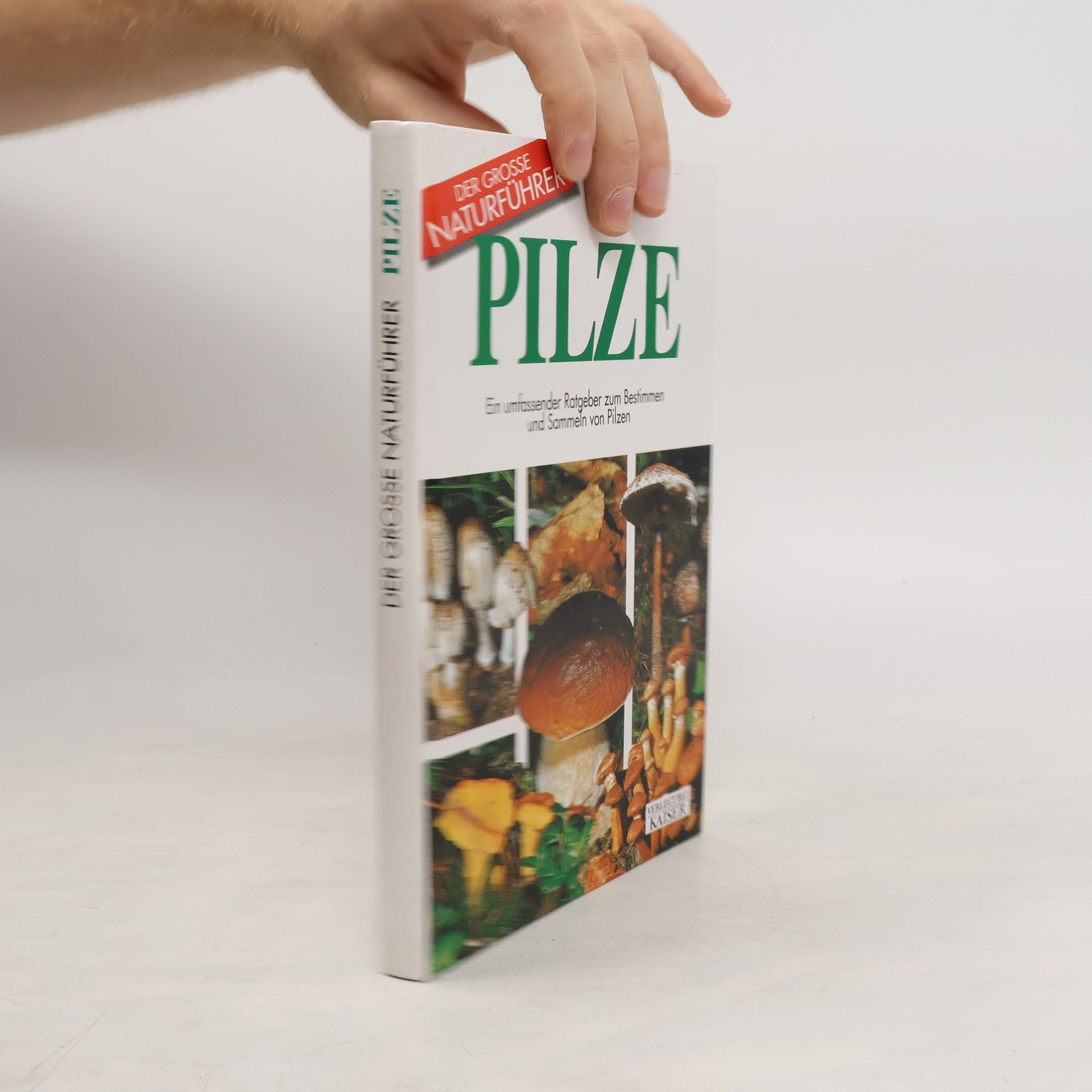 Autorenkollektiv Pilze. Ein umfassender Ratgeber zum Bestimmen und Sammeln von Pilzen.