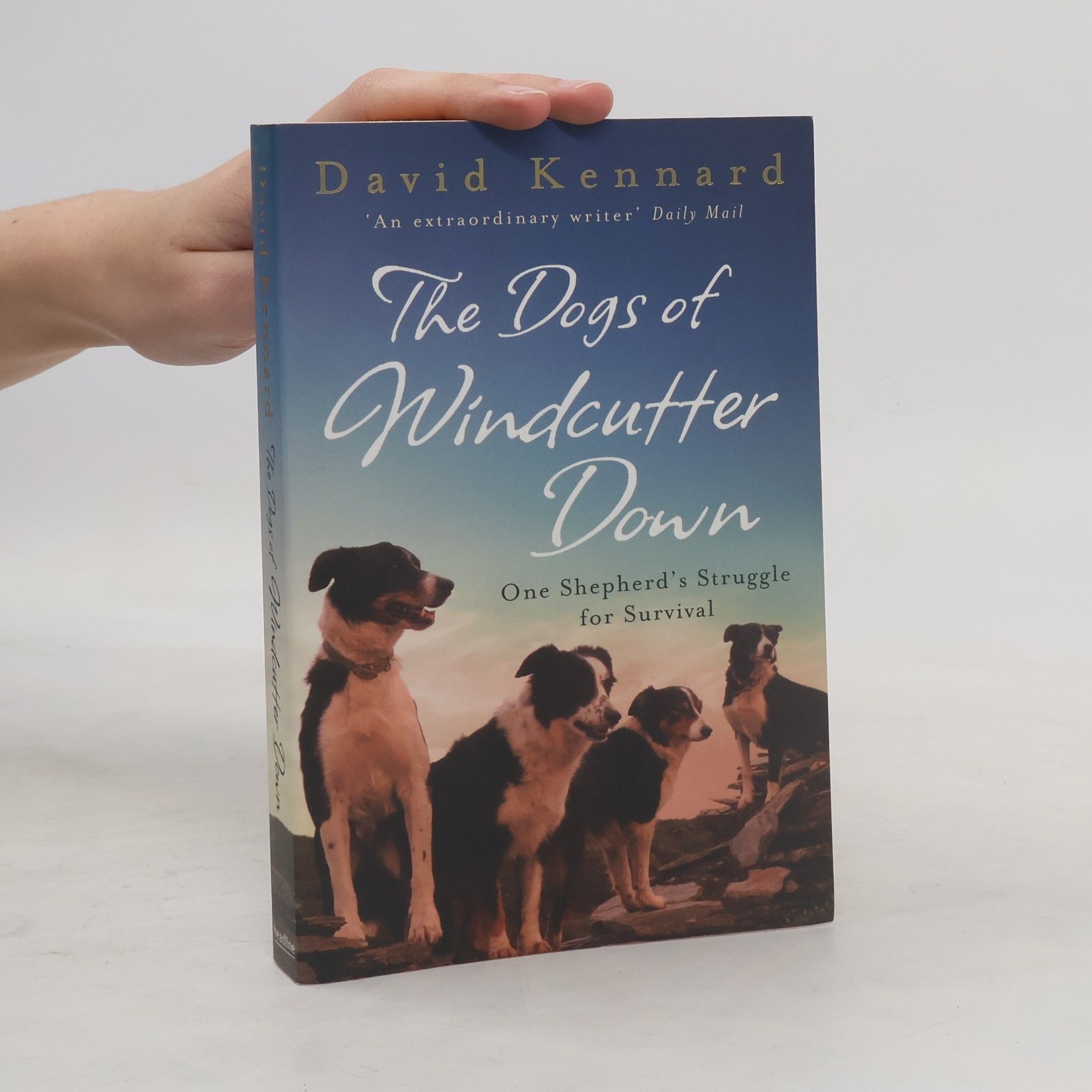 David Kennard The Dogs of Windcutter Down