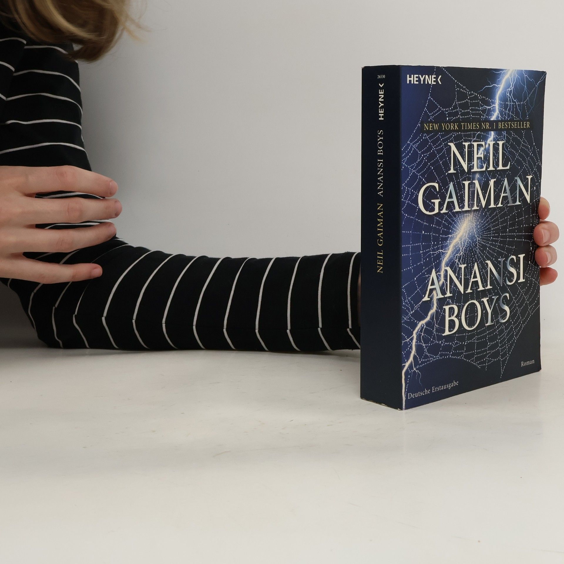 Neil Gaiman Anansi Boys