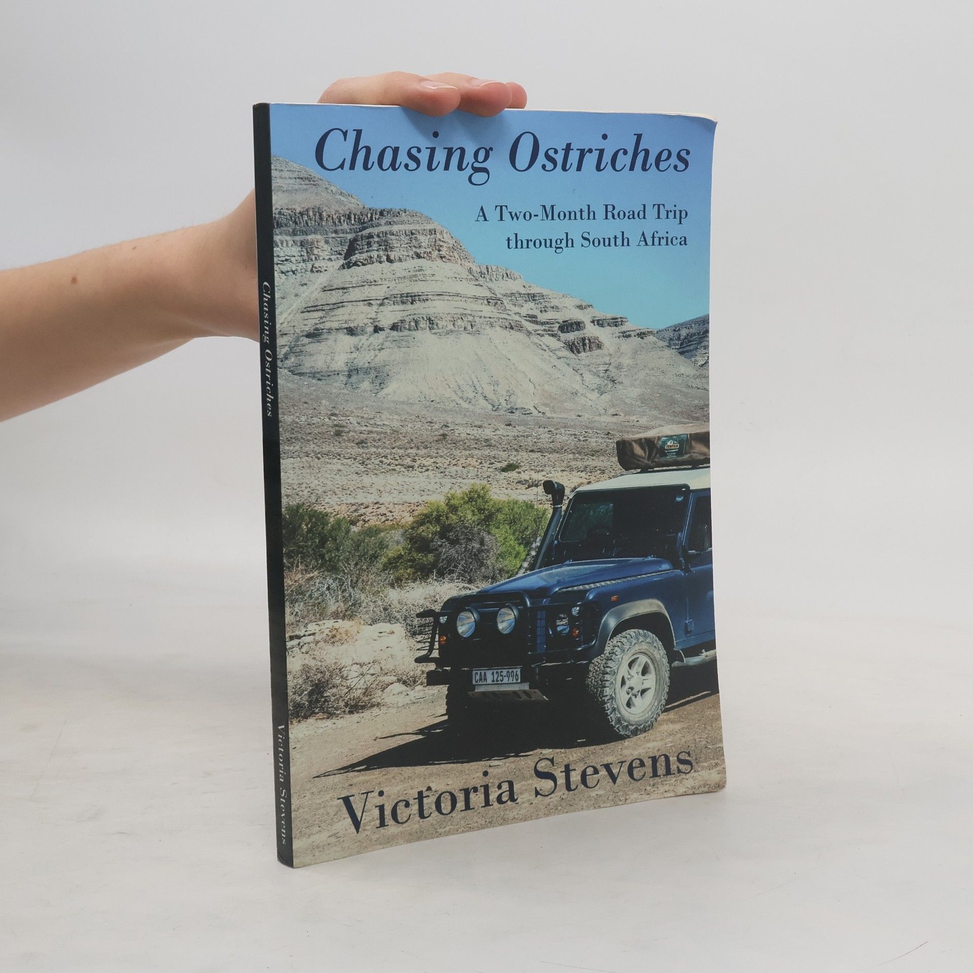 Victoria Stevens Chasing Ostriches