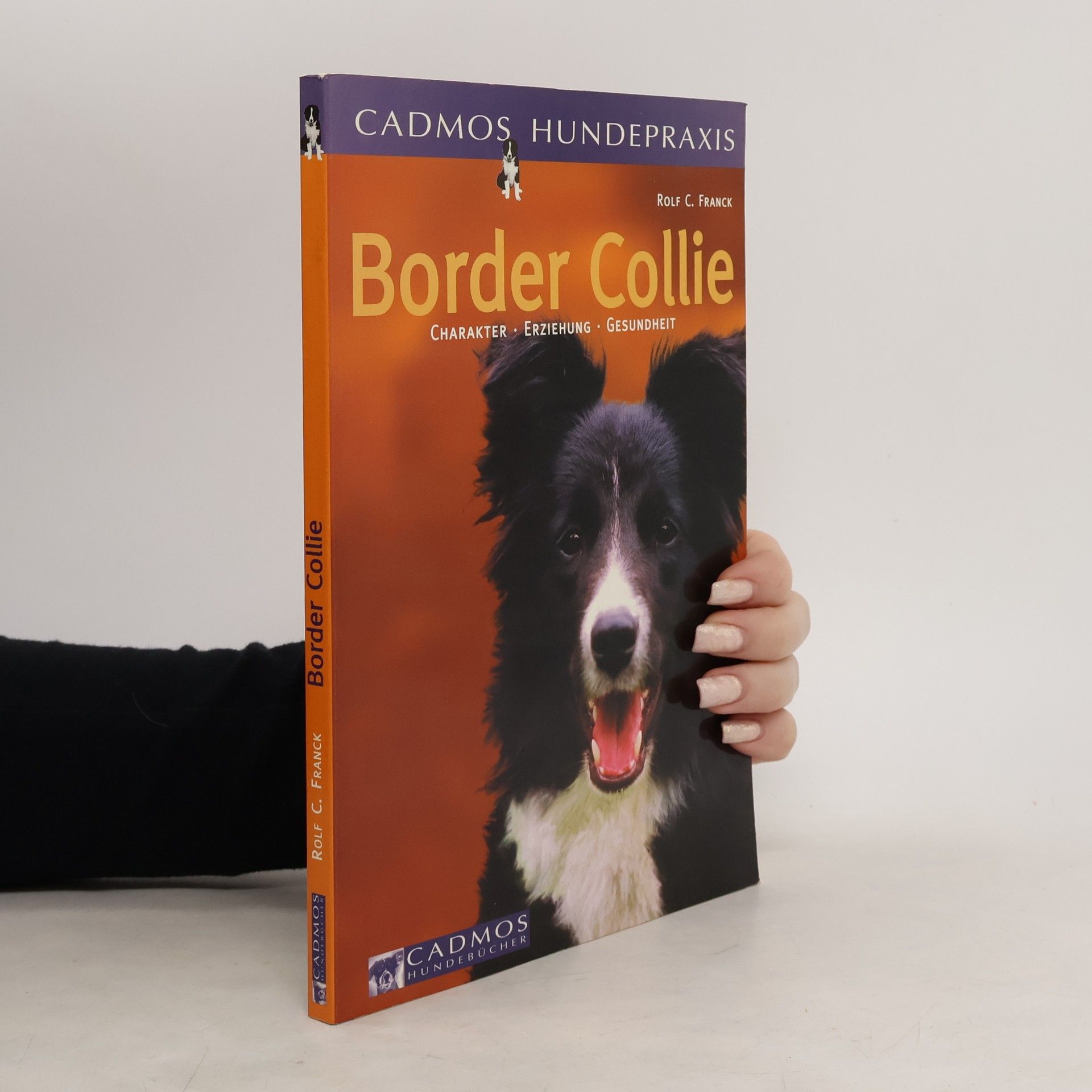 Border Collie
