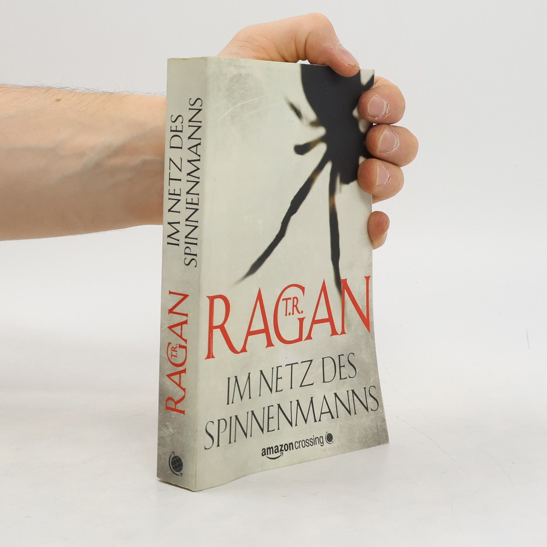 Theresa Ragan Im Netz des Spinnenmanns