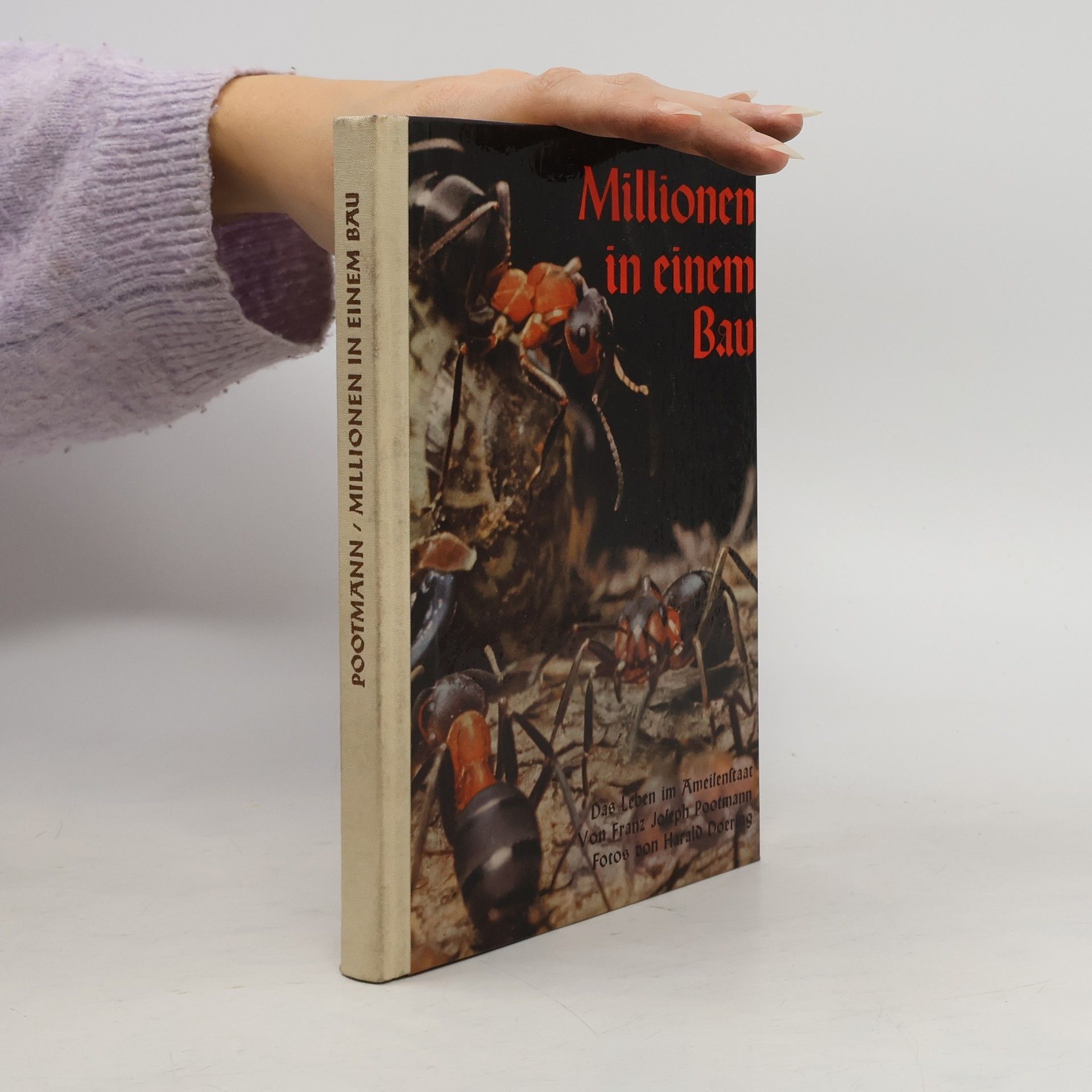 Franz Joseph Pootmann Millionen in einem Bau