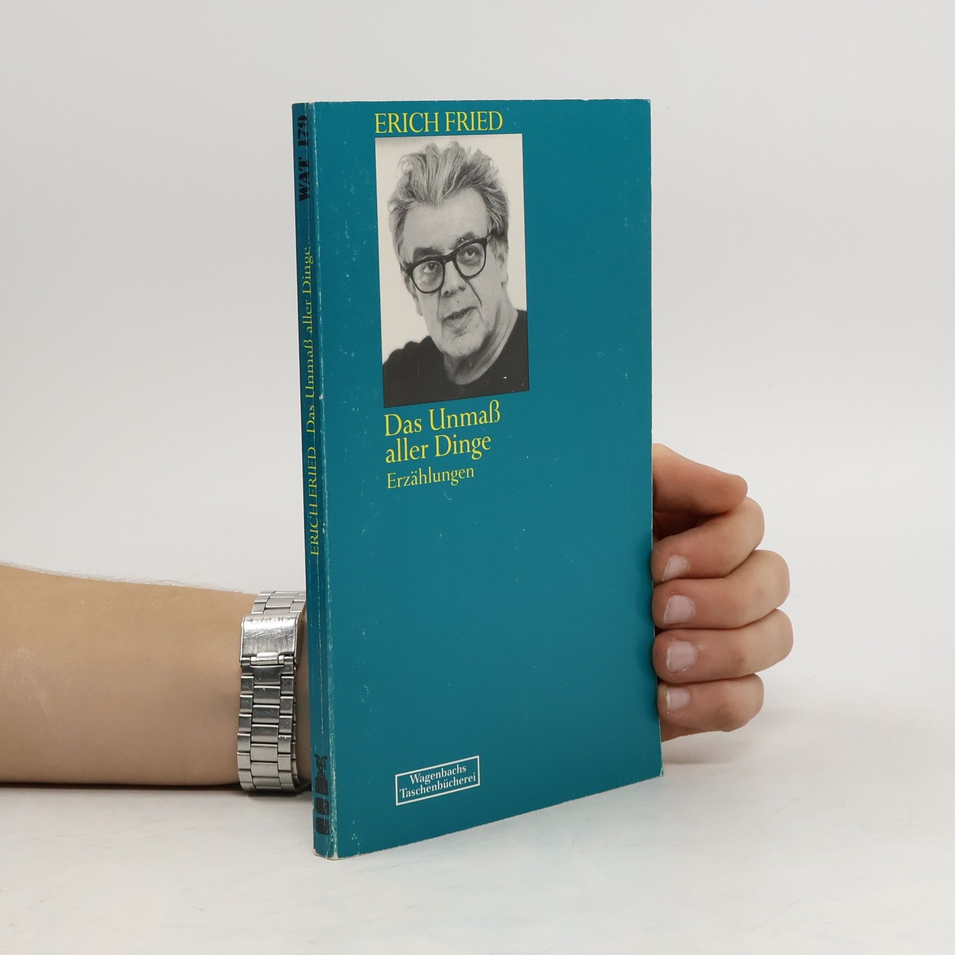 Erich Fried Das Unmass aller Dinge : 35 Erzählungen