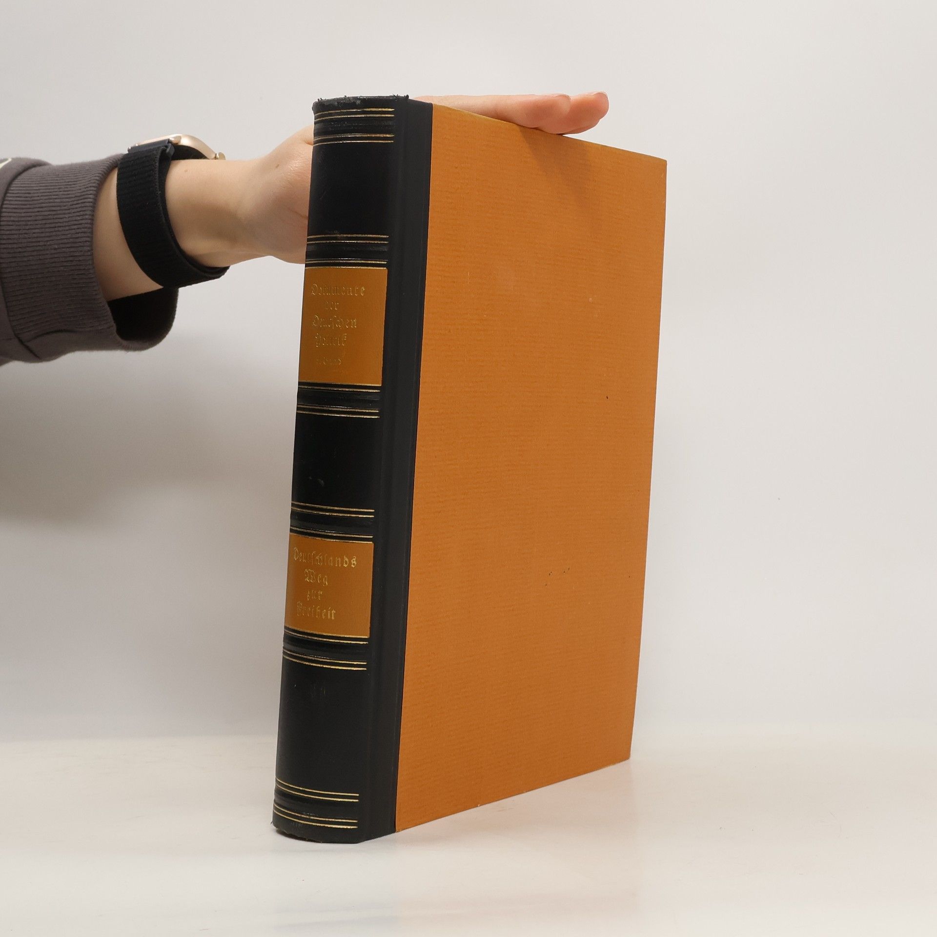 Axel Friedrichs Deutschlands Weg zur Freiheit 1935