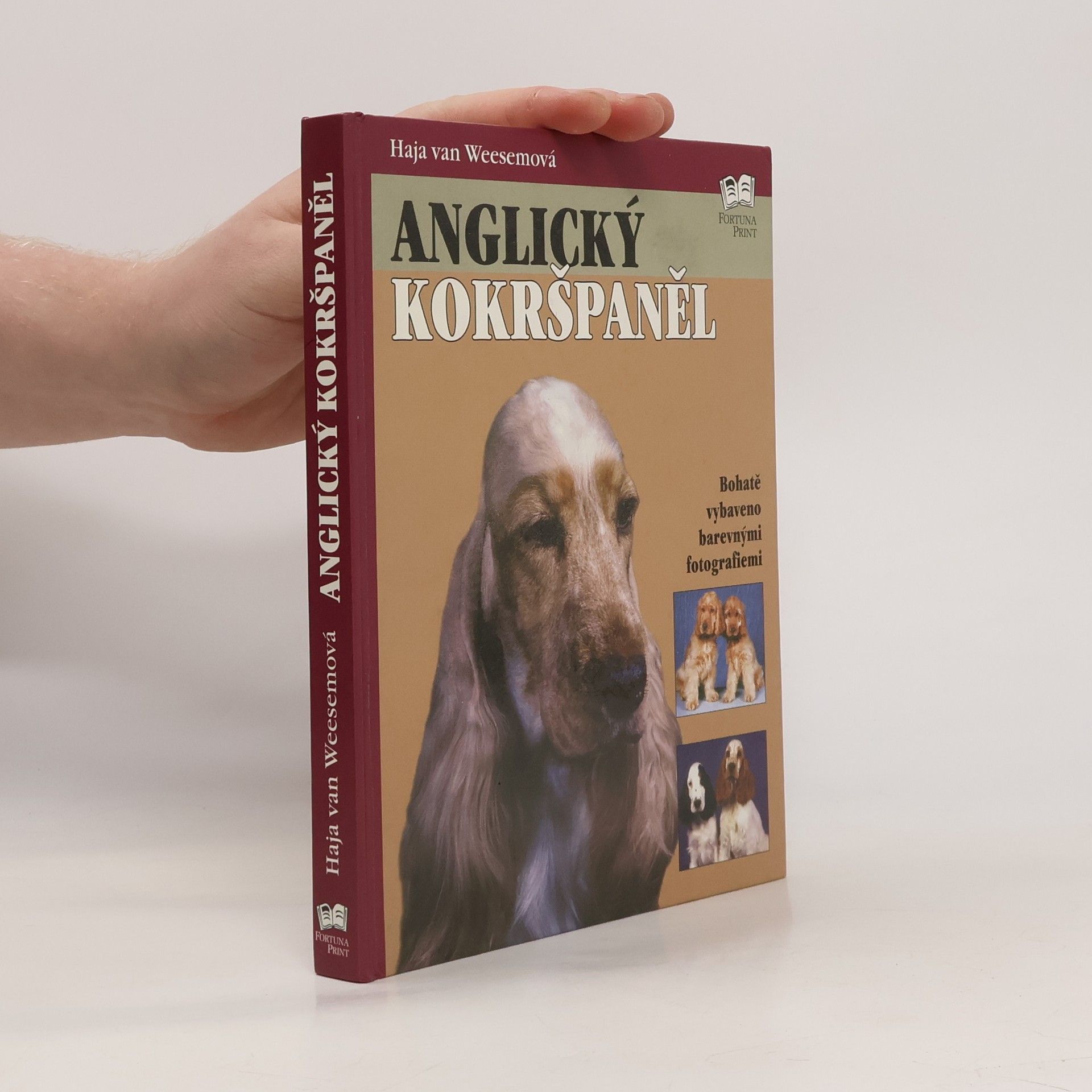 Haja van Wessem Anglický kokršpaněl