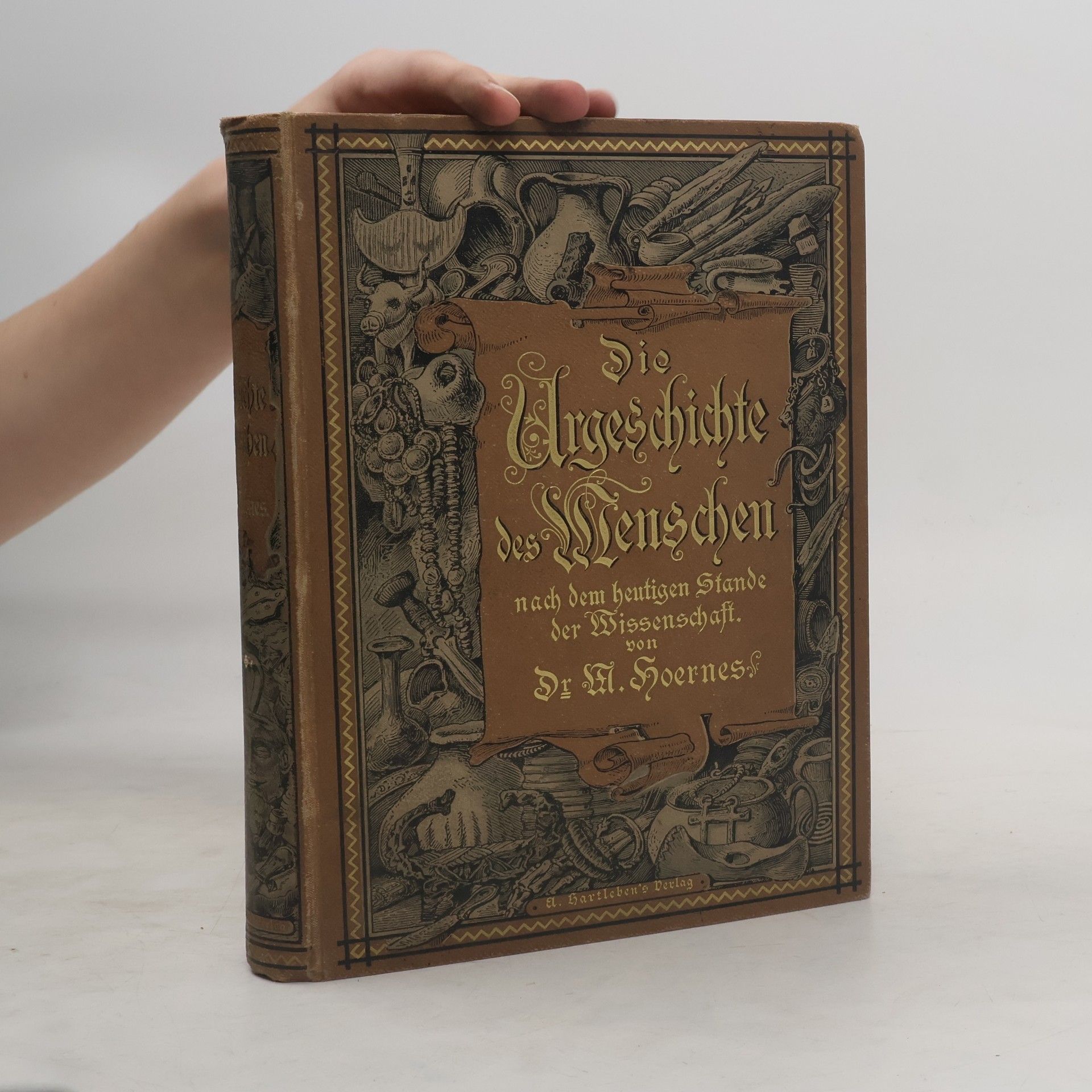 Die Urgeschichte des Menschen