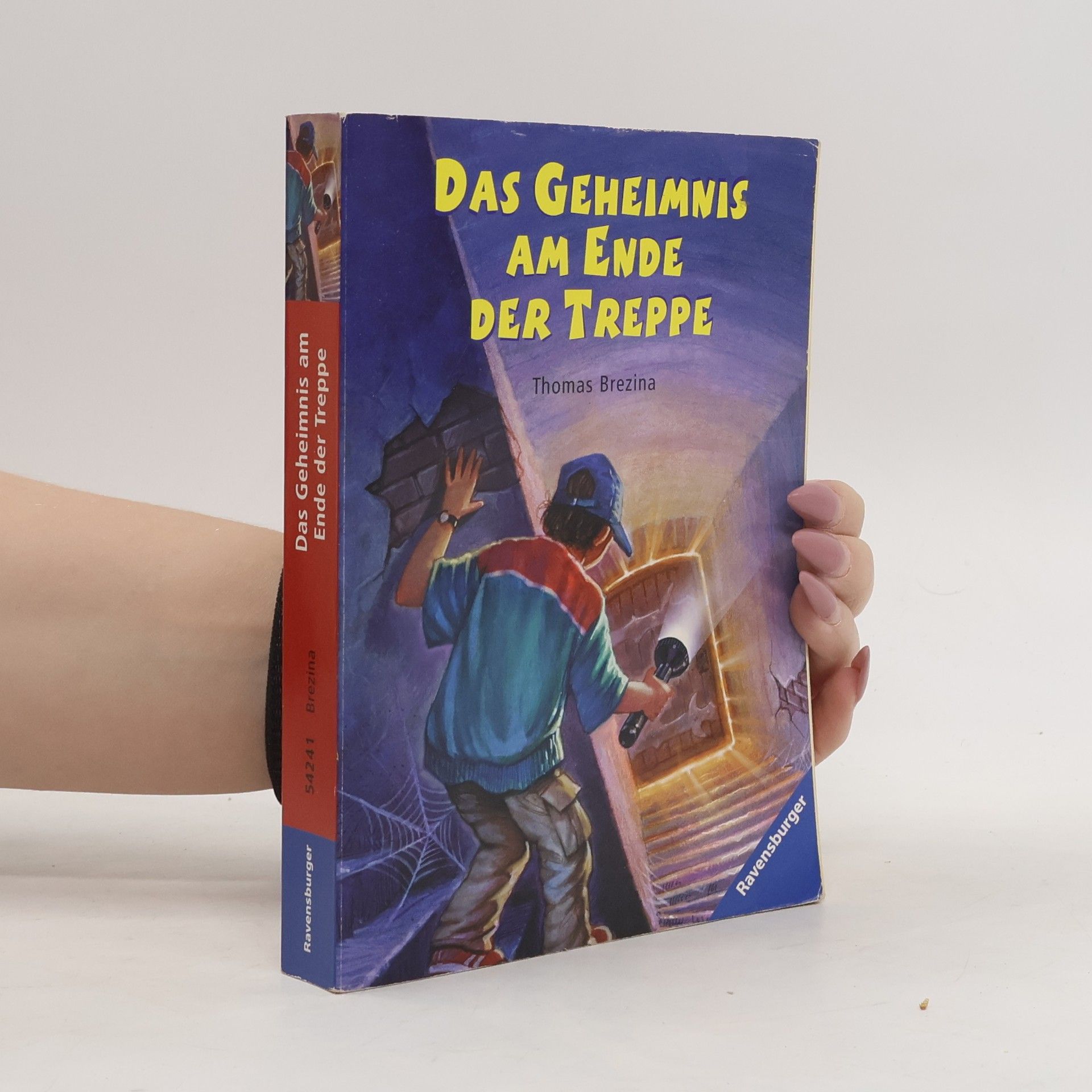 Thomas C. Brezina Das Geheimnis am Ende der Treppe