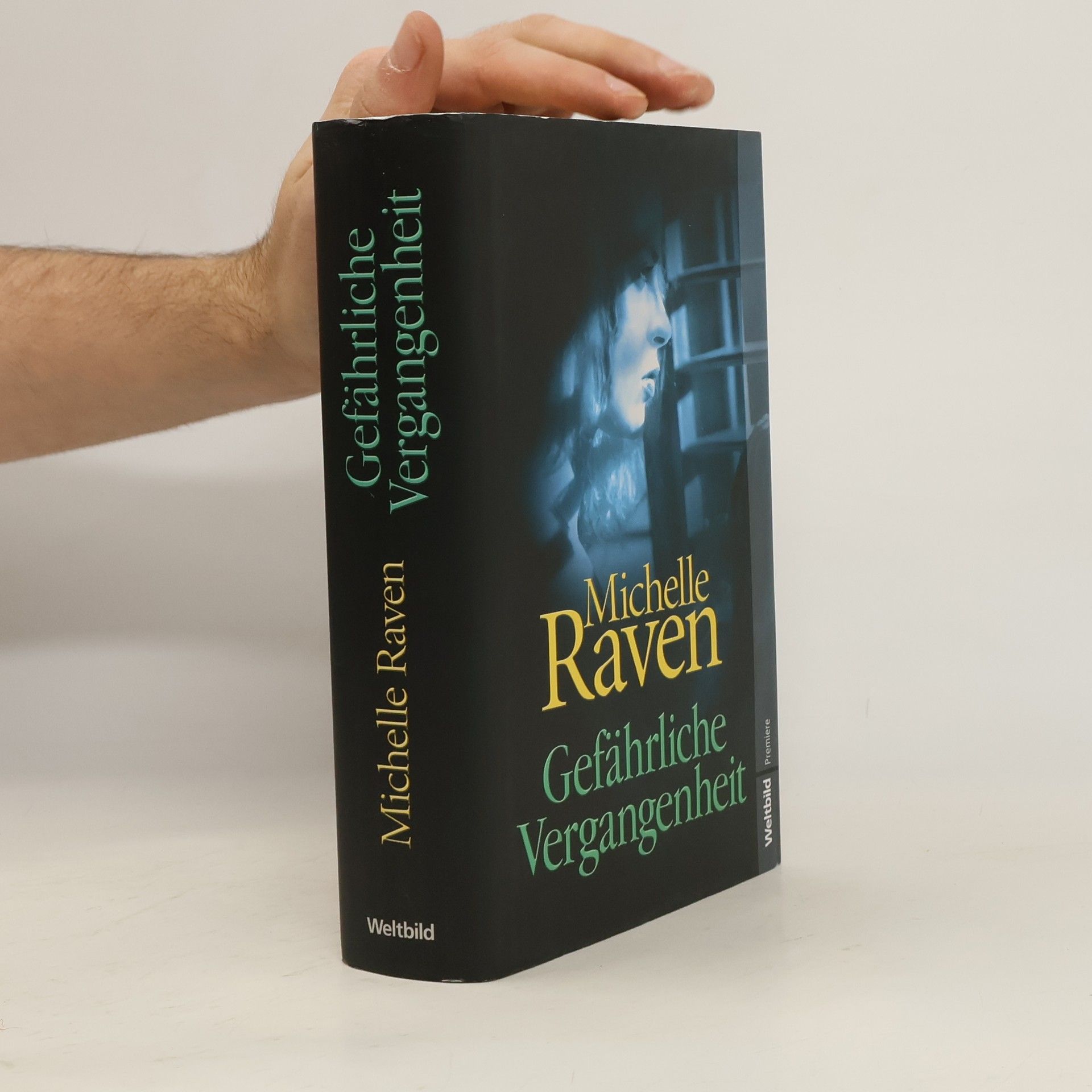 Michelle Raven Gefährliche Vergangenheit