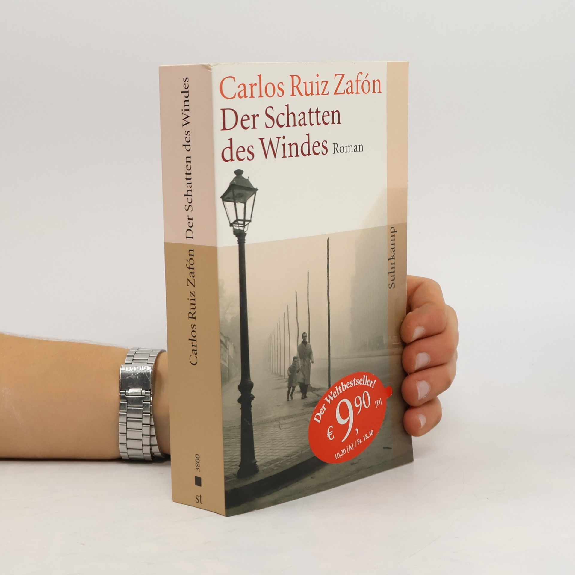 Carlos Ruiz Zafón Der Schatten des Windes