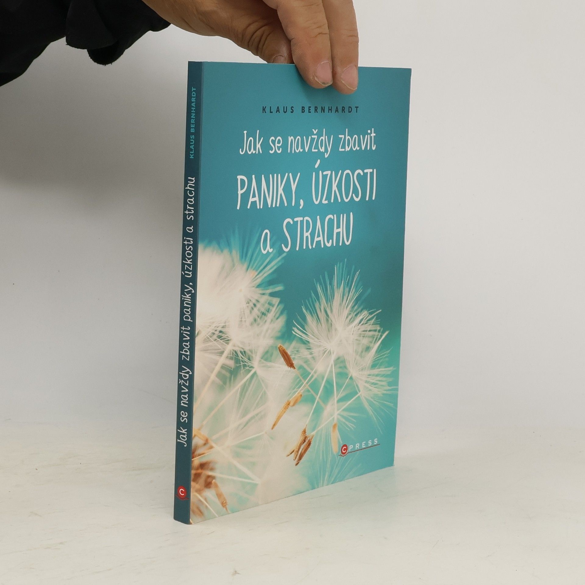Klaus Bernhardt Jak se navždy zbavit paniky, úzkosti a strachu