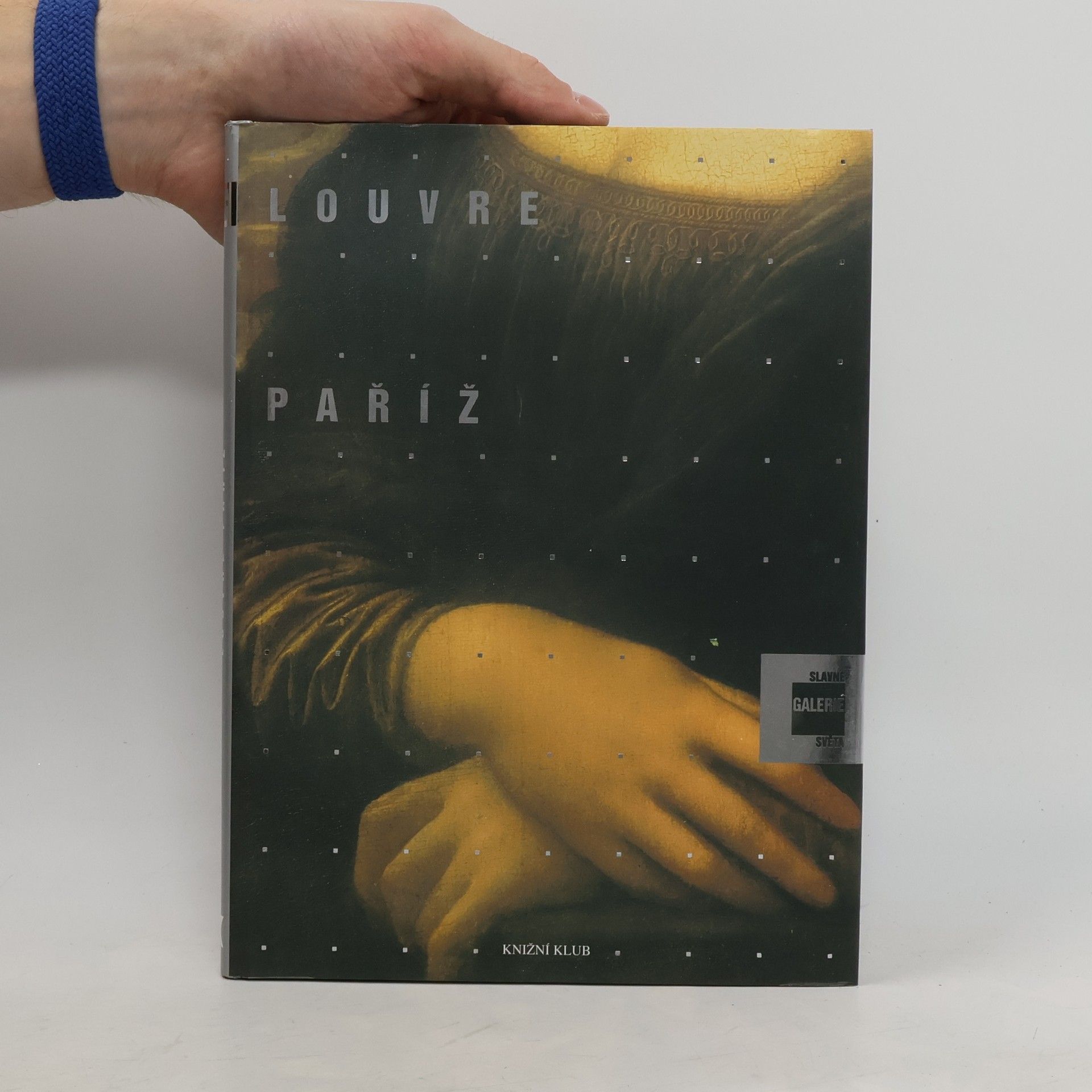 Alessandra Fregolent Slavné galerie světa. Louvre - Paříž