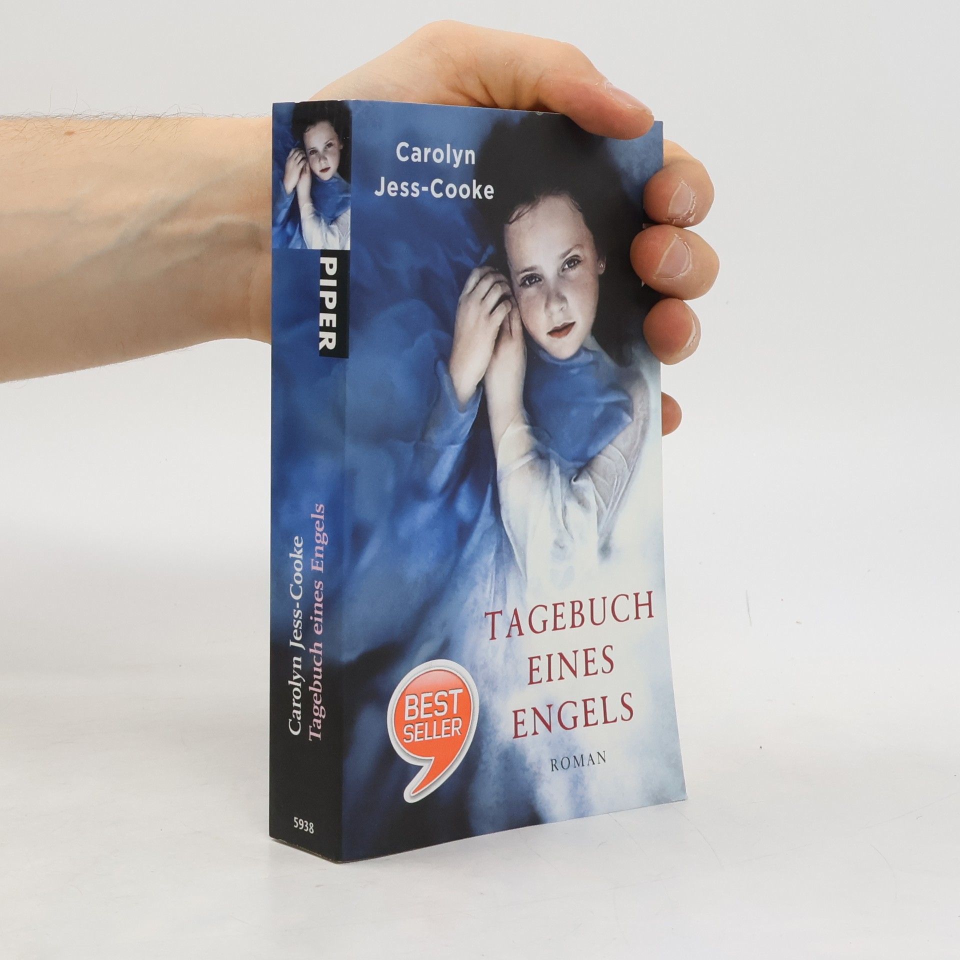 Carolyn Jess Cooke Tagebuch eines Engels (Deník anděla)