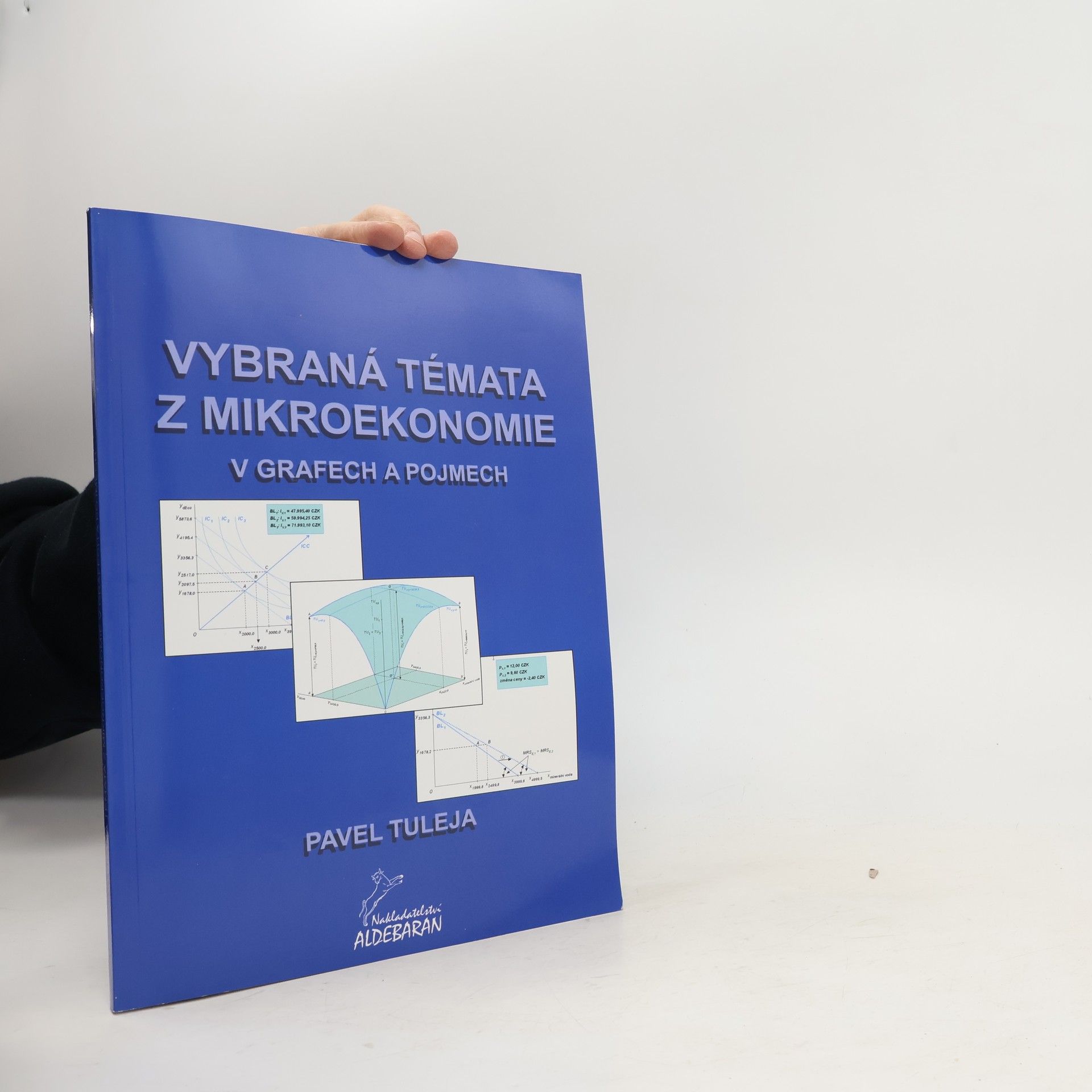 Collectif d'auteurs Vybraná témata z mikroekonomie v grafech a pojmech