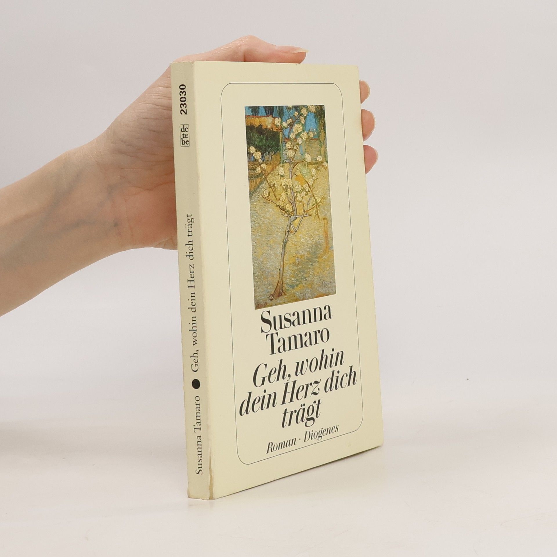 Susanna Tamaro Geh, wohin dein Herz dich trägt