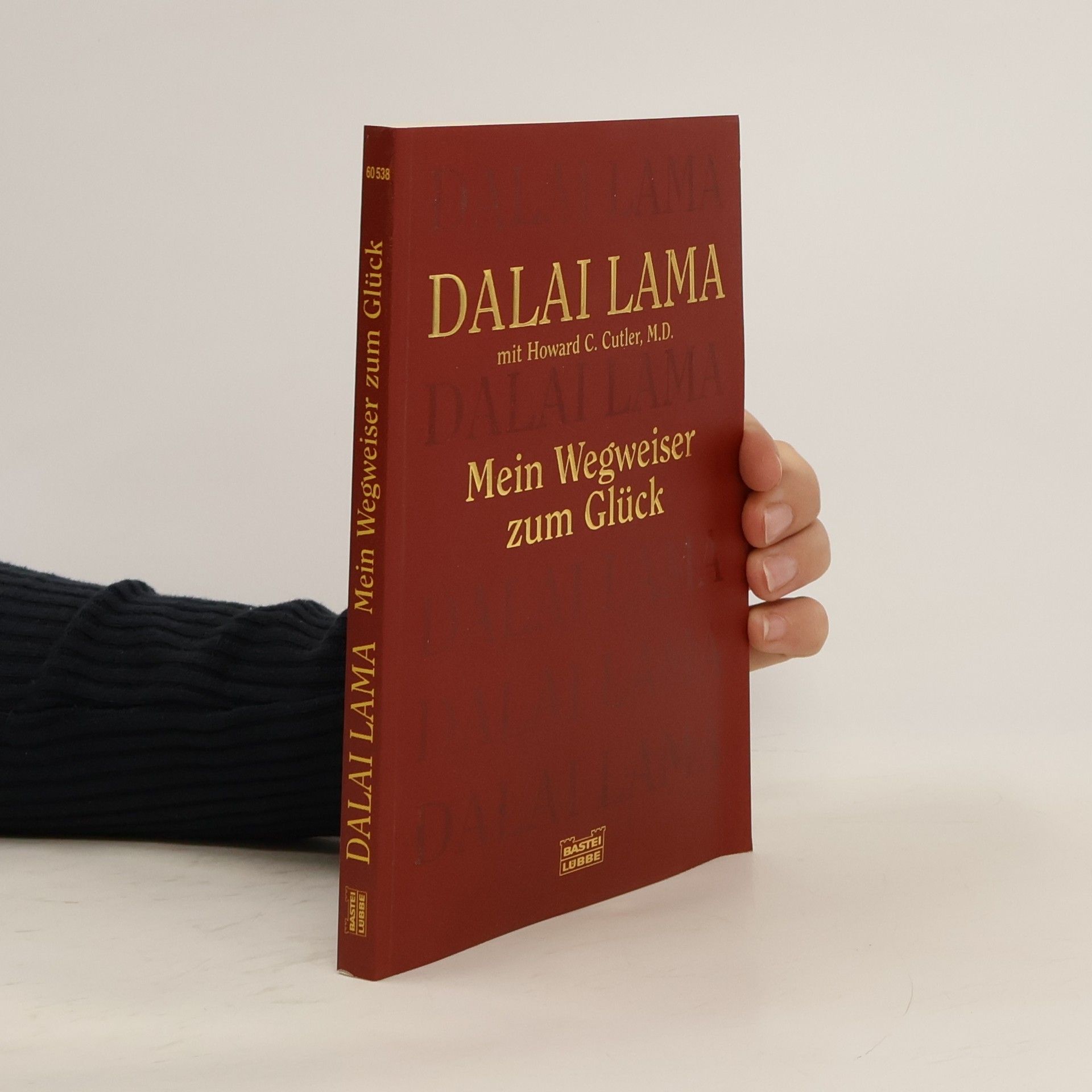 Bstan-vdzin-rgya-mtsho Mein Wegweiser zum Glück