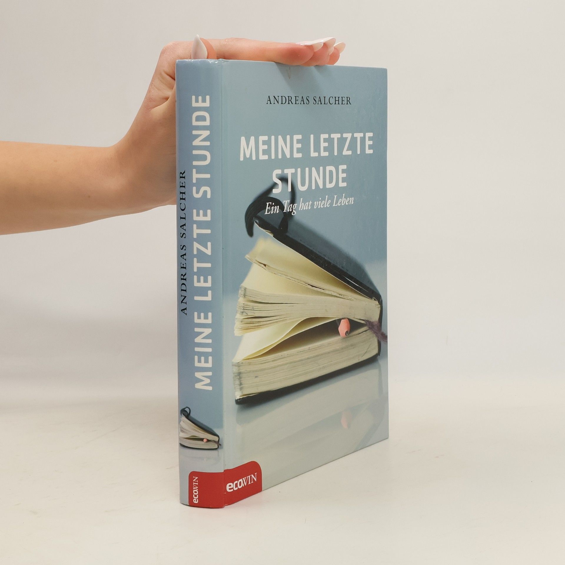 Andreas Salcher Meine letzte Stunde