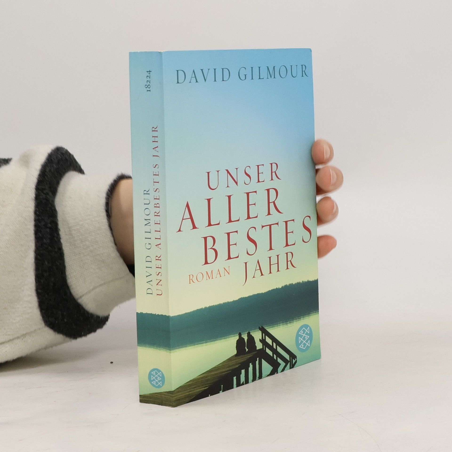 David Gilmour Unser allerbestes Jahr