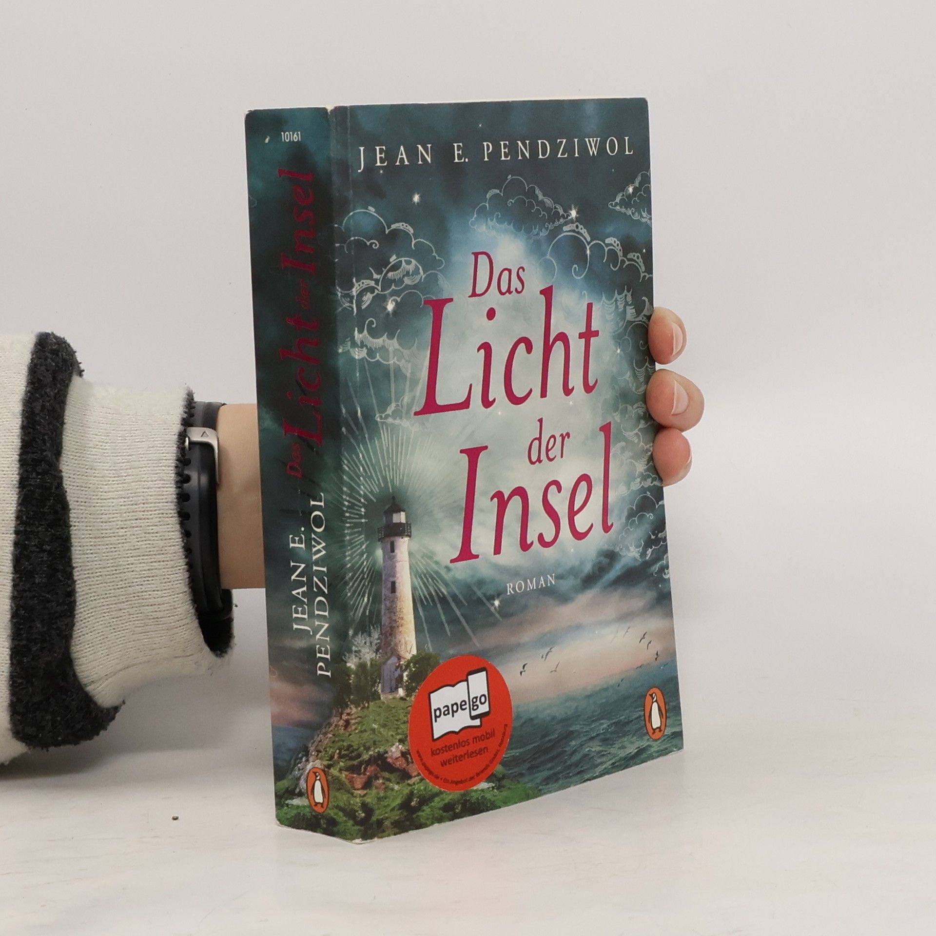 Jean Pendziwol Das Licht der Insel