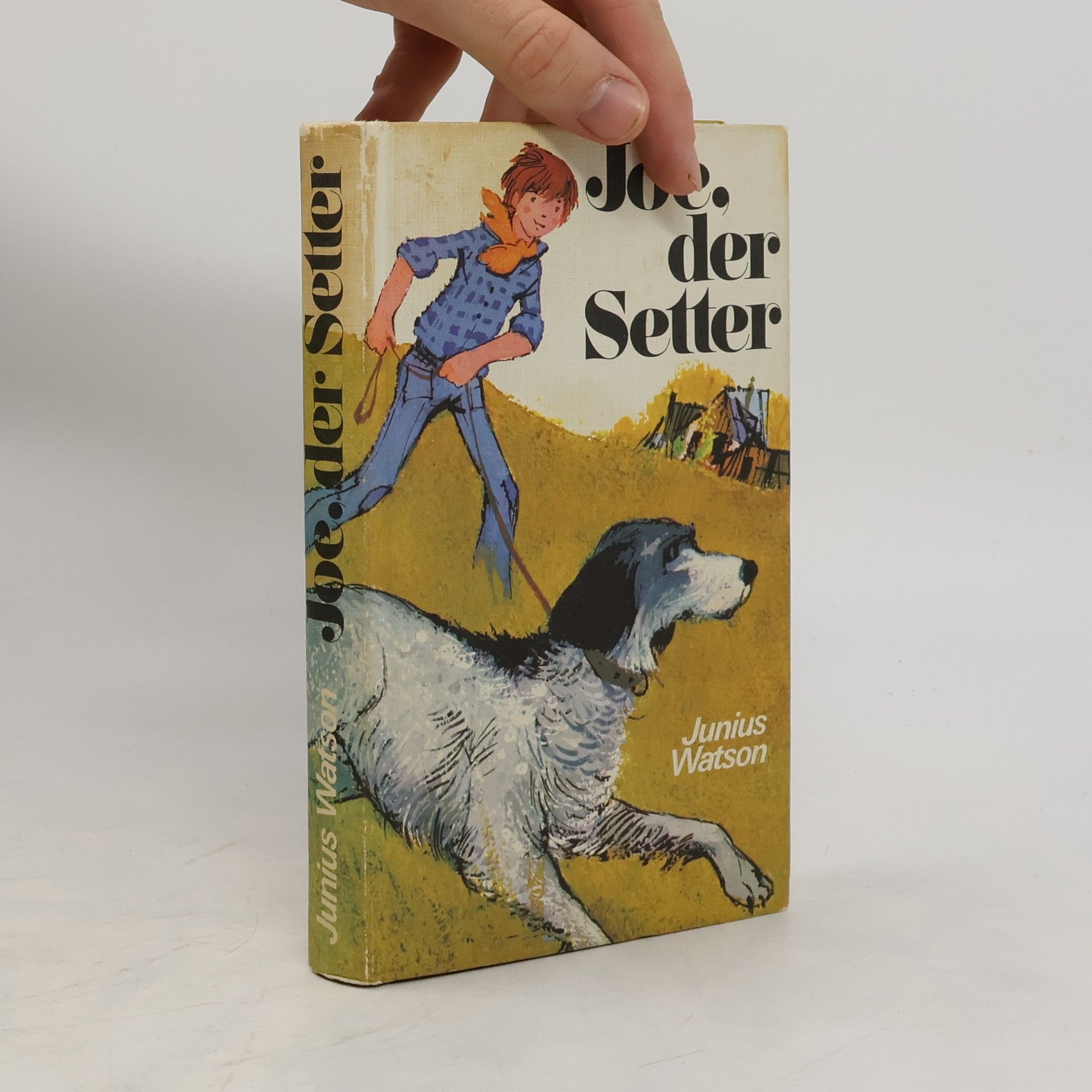 Junius Watson Joe, der Setter