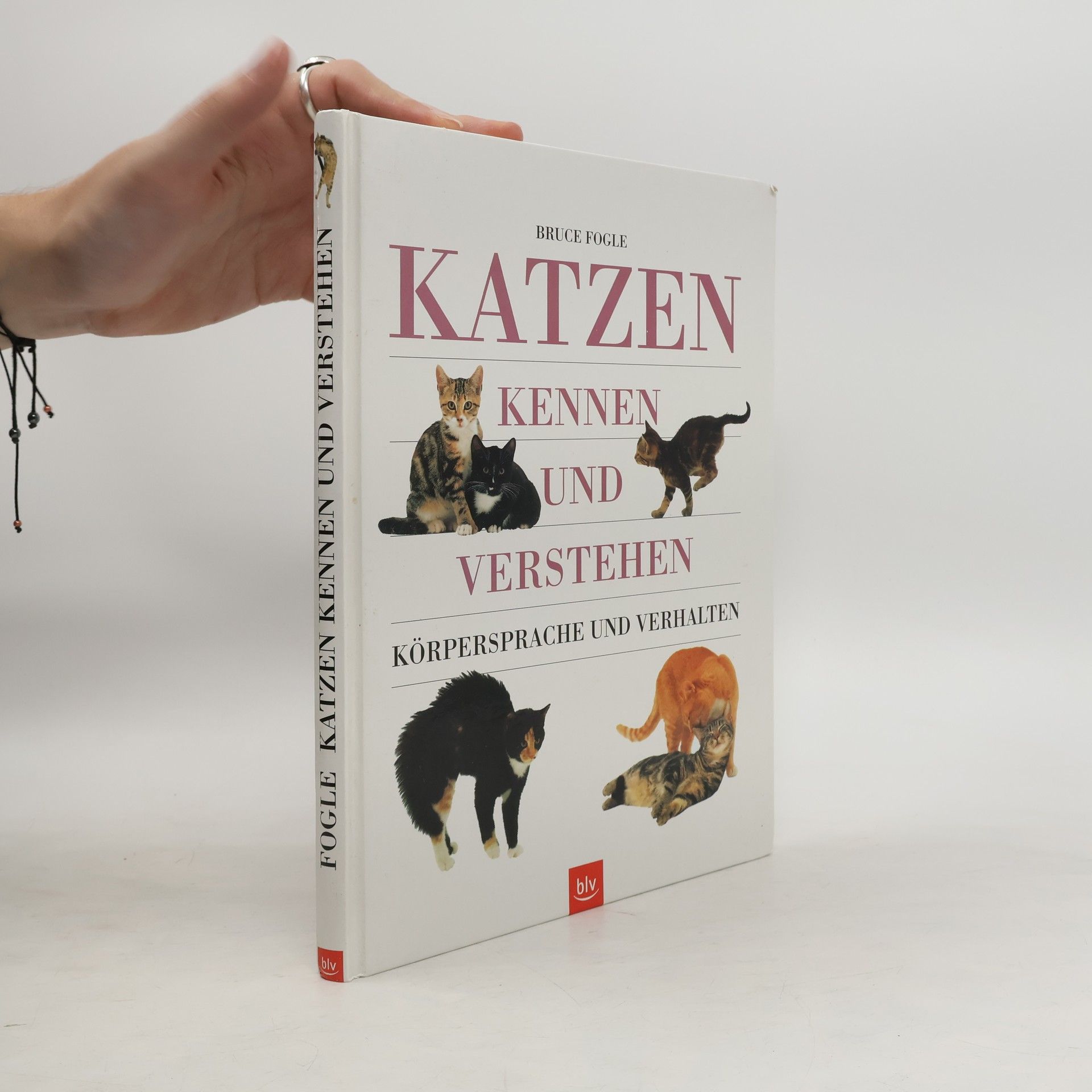 Bruce Folge Katzen kennen und verstehen