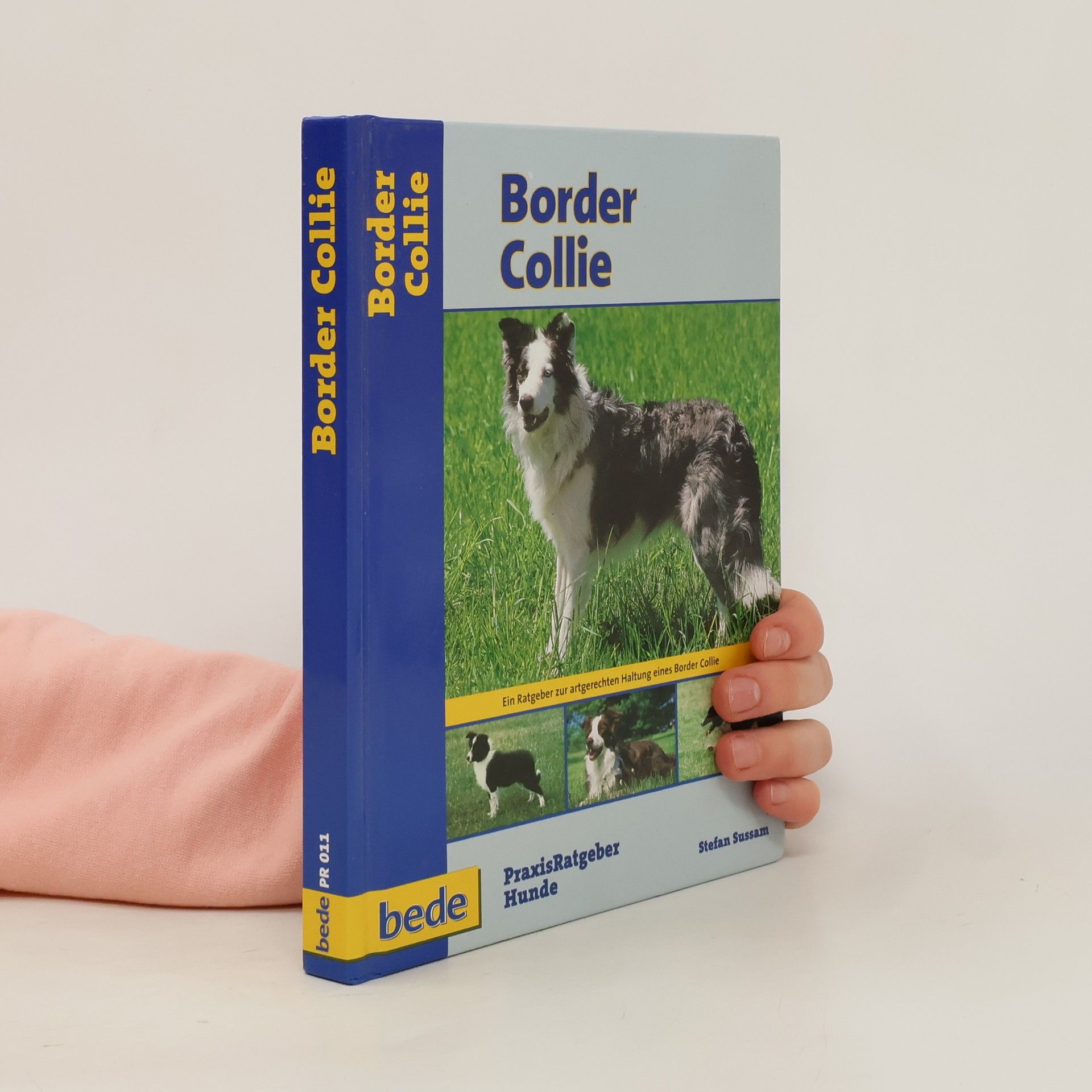 Stephen Sussam Border Collie