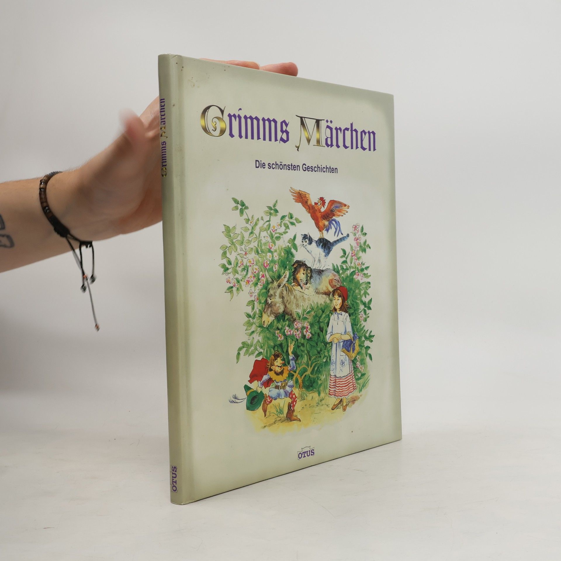 Autorenkollektiv Grimms Märchen