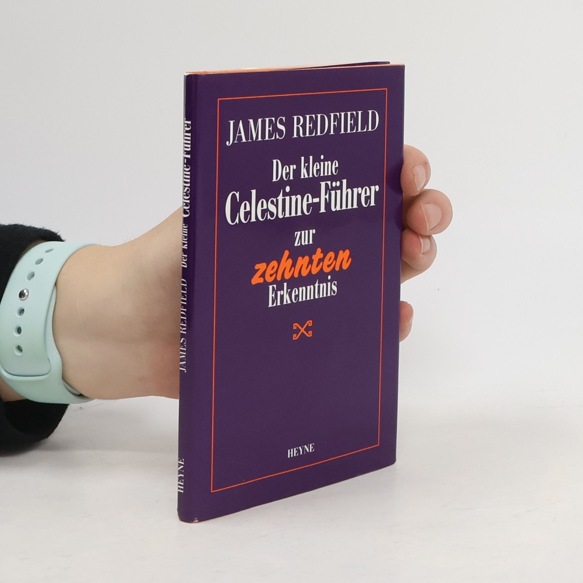 James Redfield Der kleine Celestine-Führer zur zehnten Erkenntnis