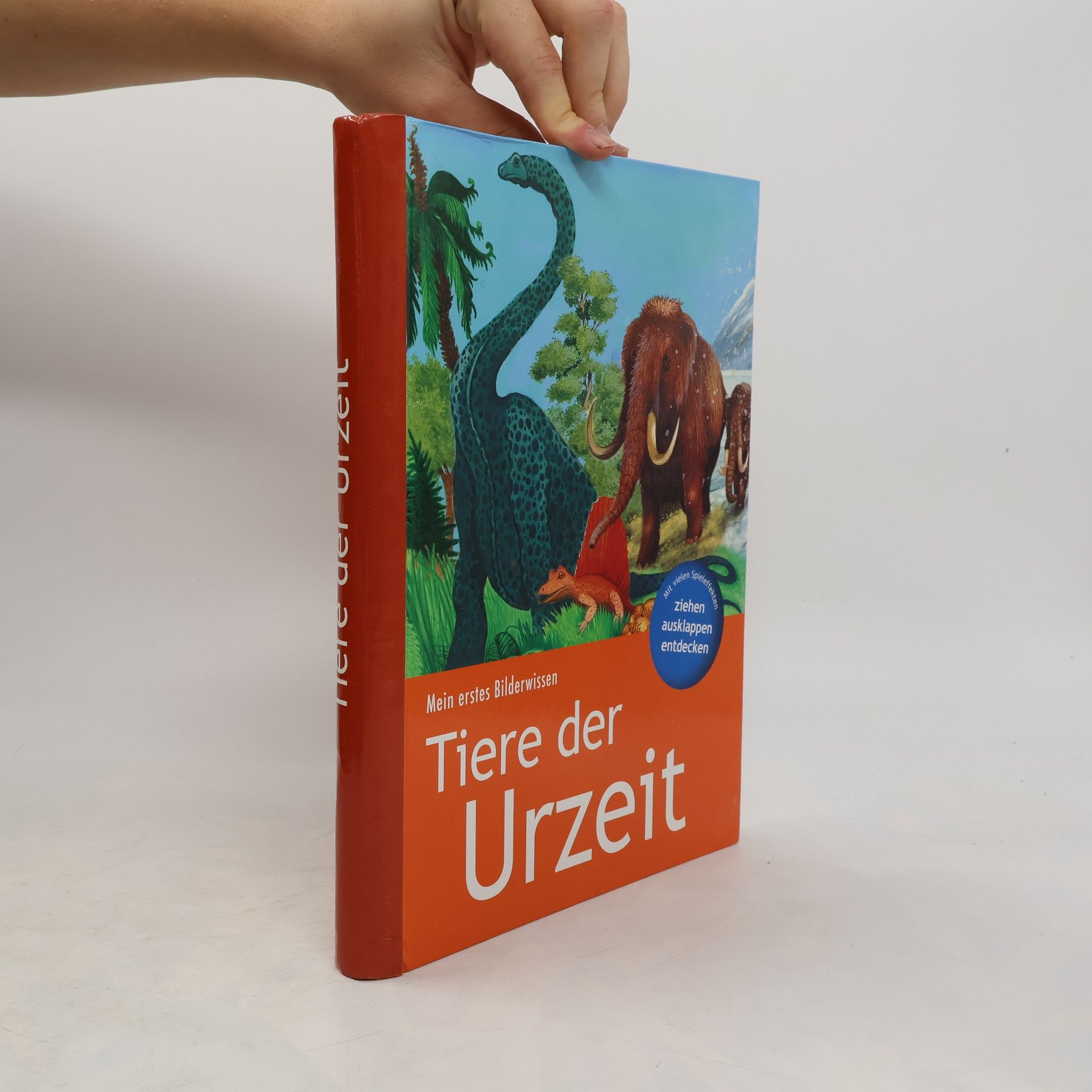 Auteurscollectief Tiere der Urzeit