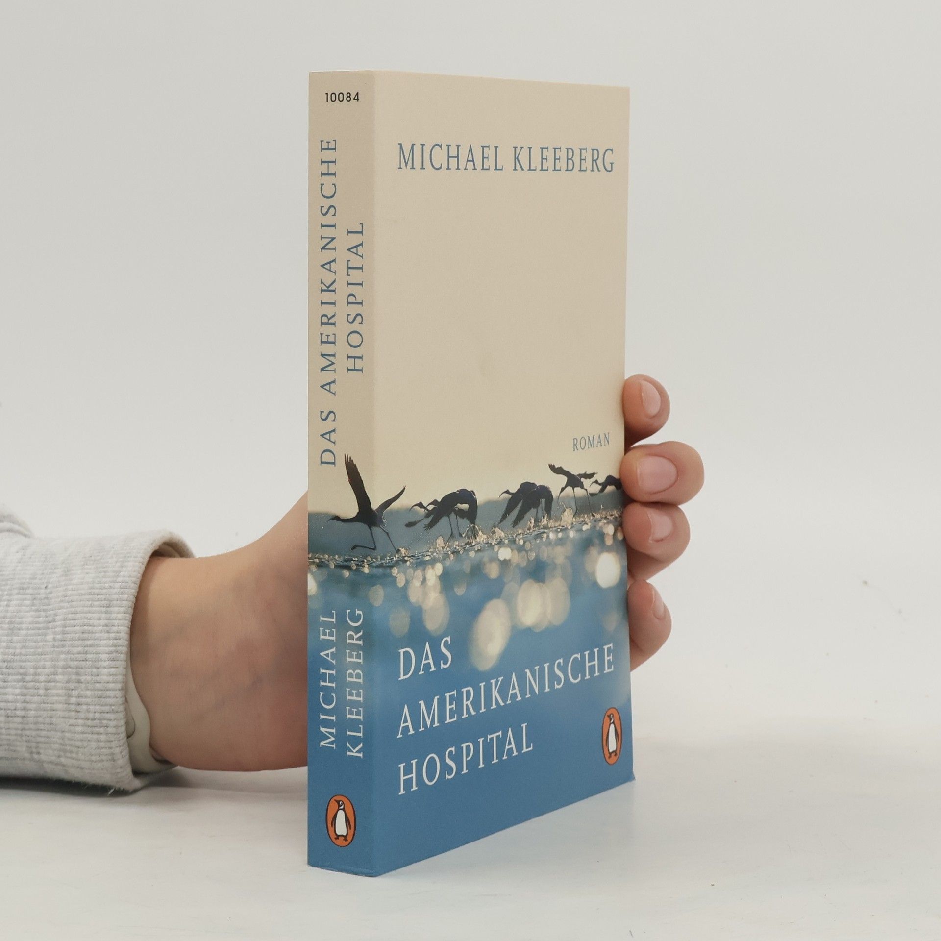 Michael Kleeberg Das amerikanische Hospital