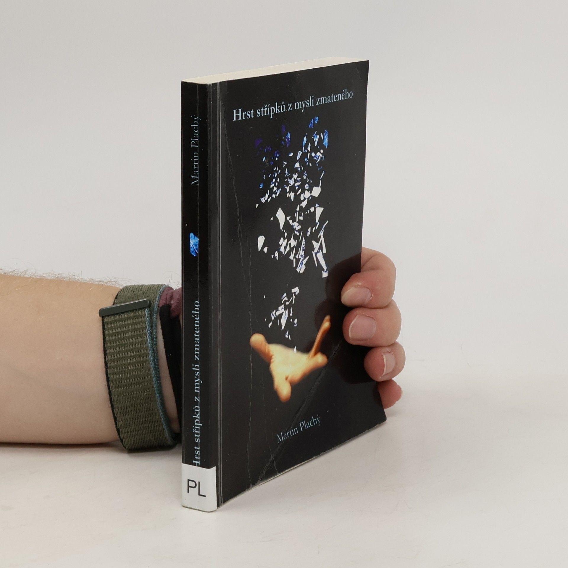 Martin Plachý Hrst střípků z mysli zmateného
