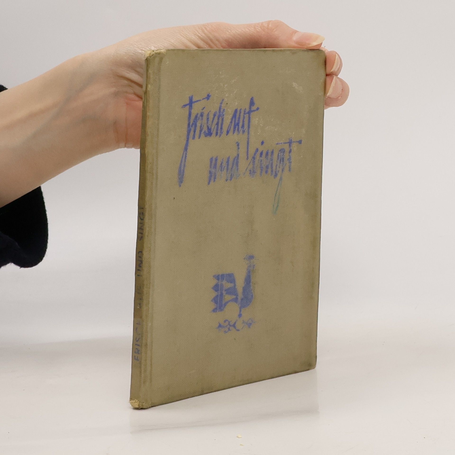 AA.VV. Frischauf und singt