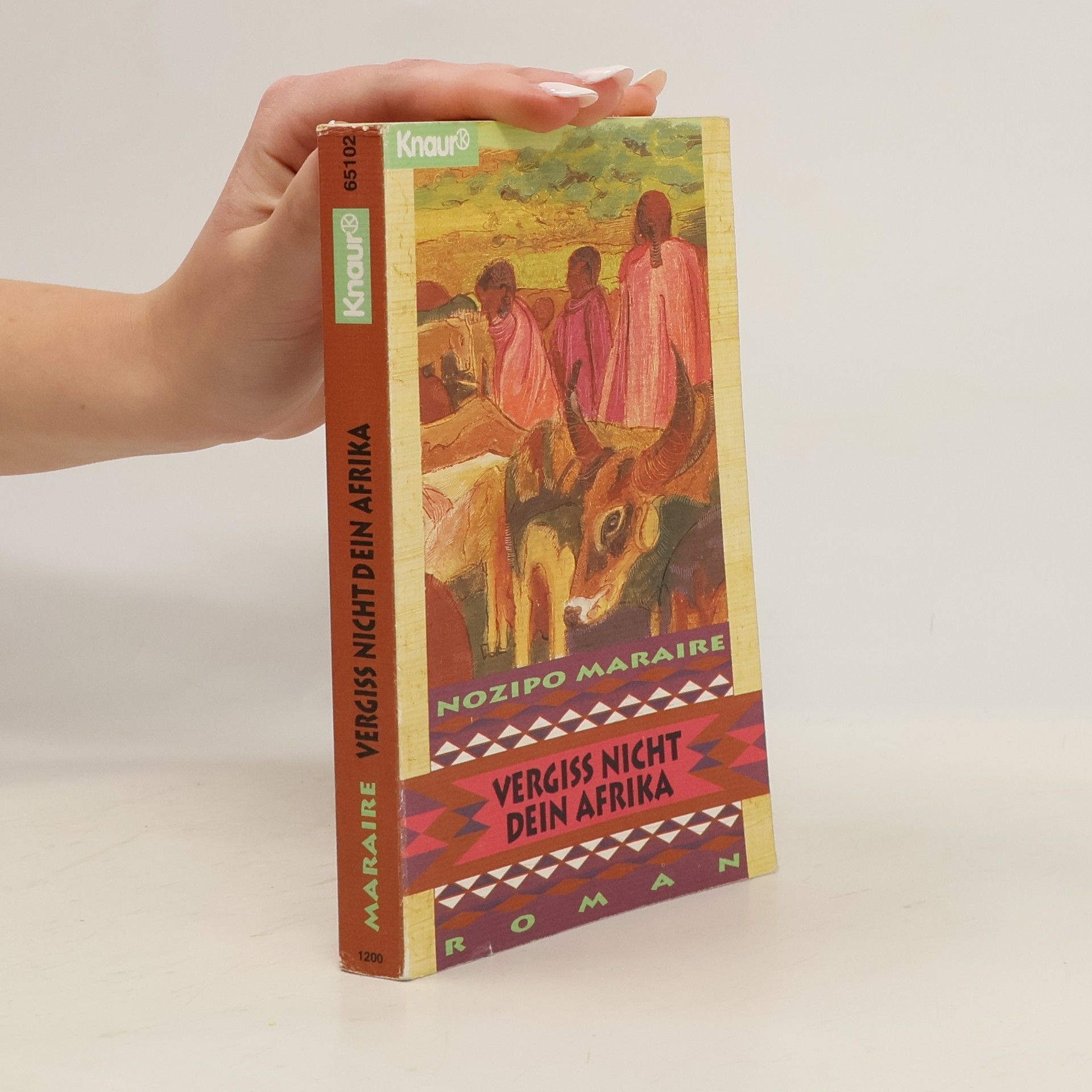 Nozipo Maraire Vergiss nicht dein Afrika