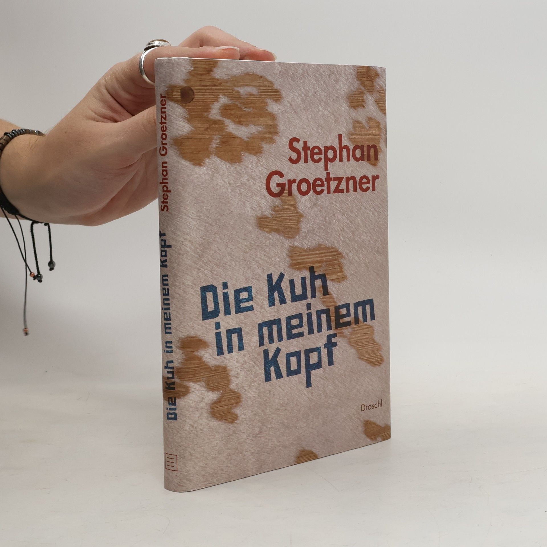Stephan Groetzner Die Kuh in meinem Kopf