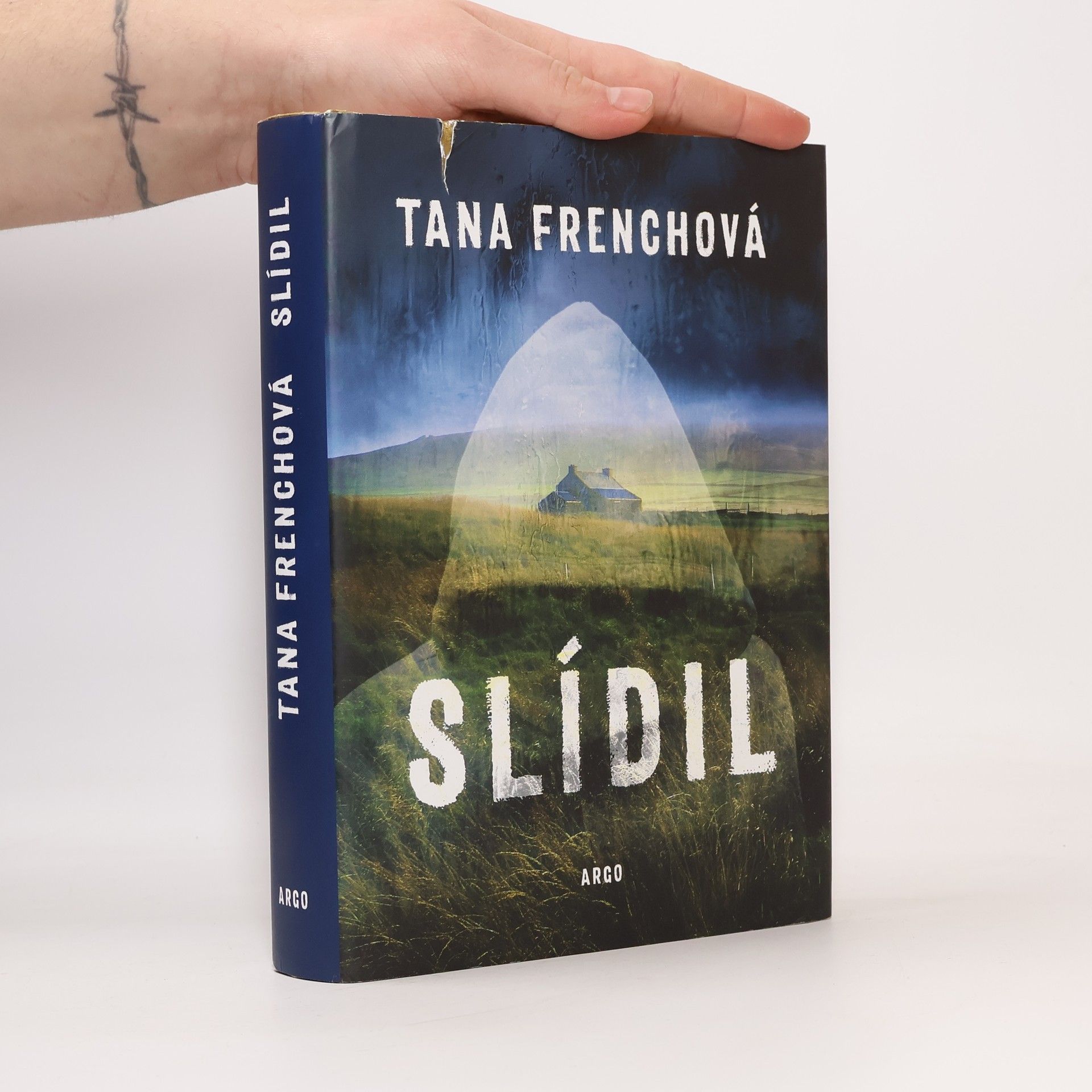 Tana French Slídil