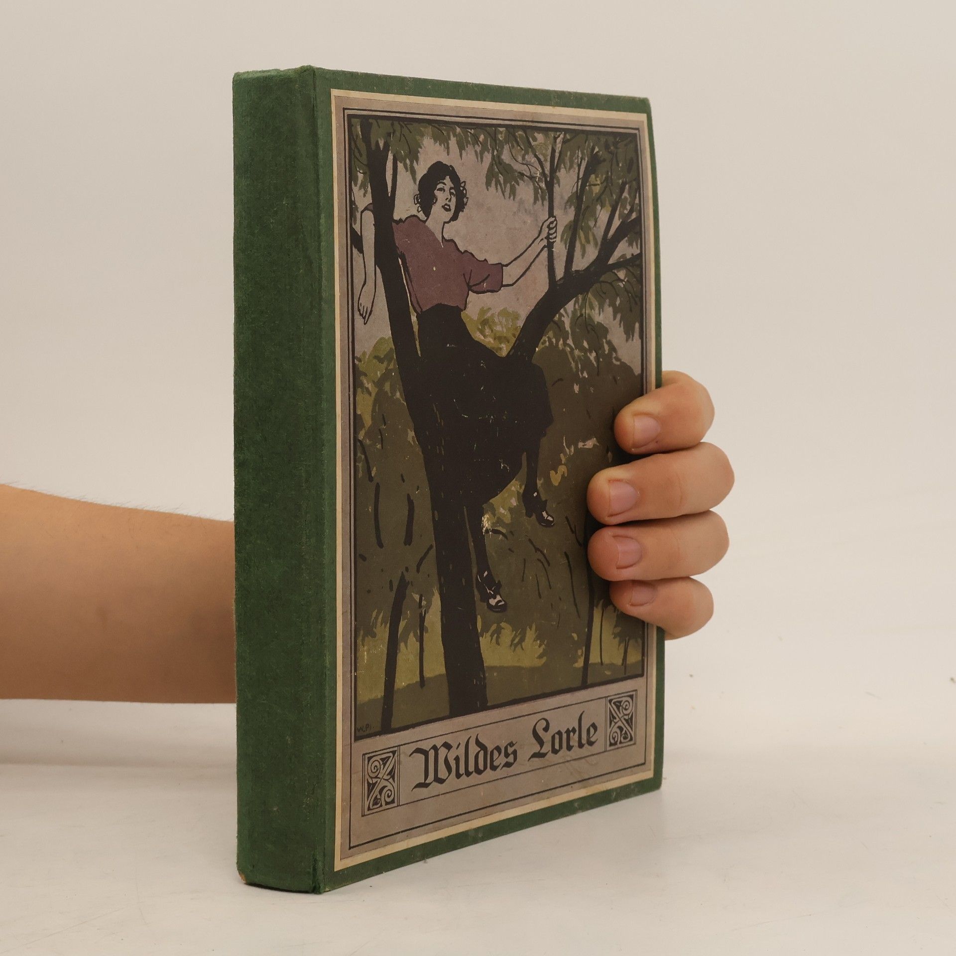 Henny Koch Wildes Lorle