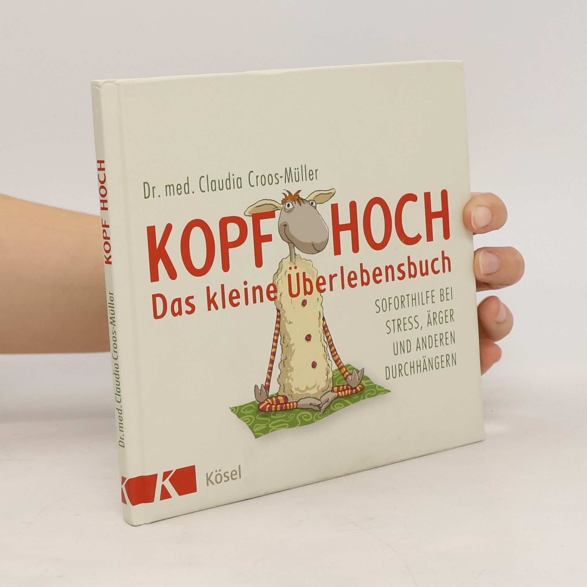 Claudia Cross-Müller Kopf hoch - das kleine Überlebensbuch