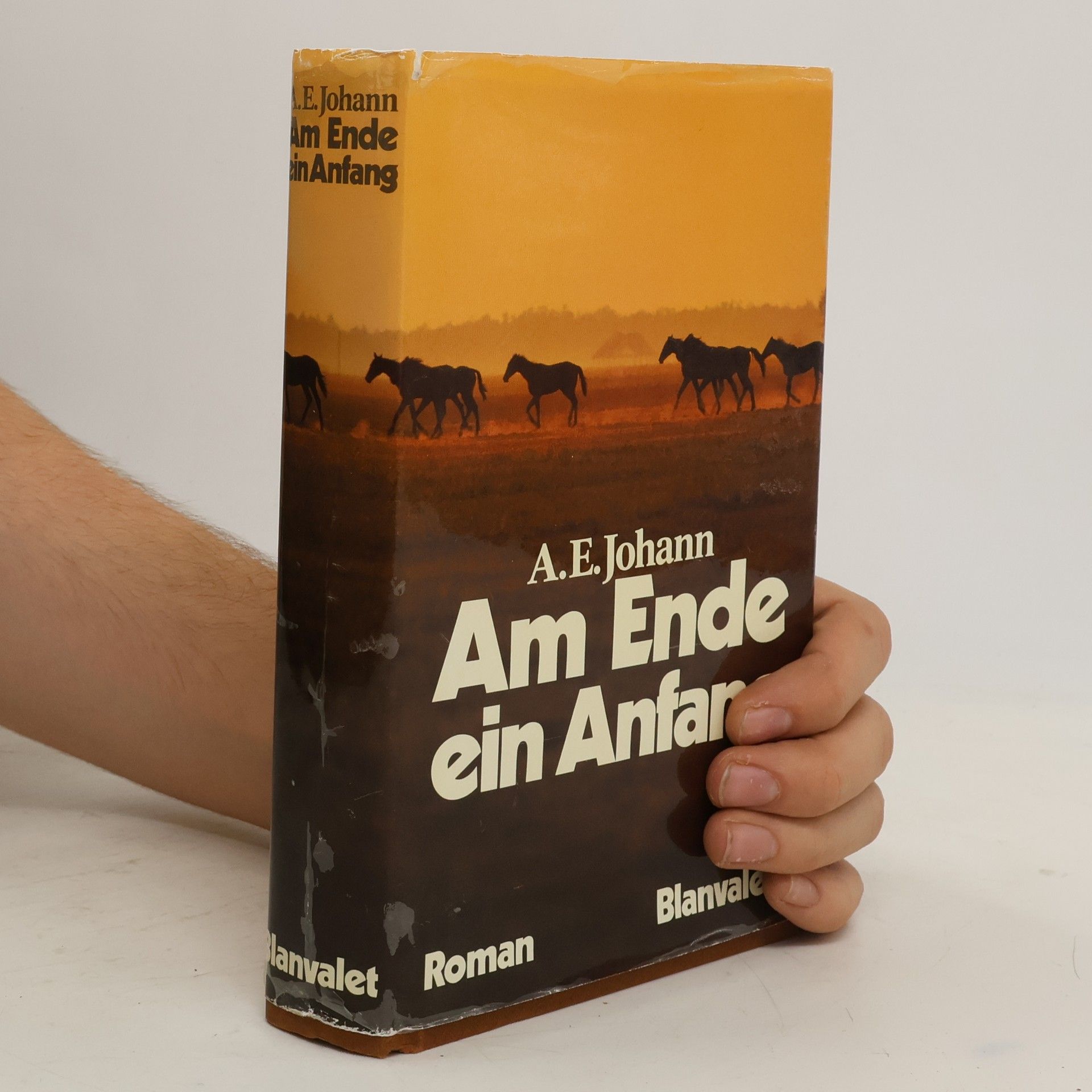 Alfred E. Johann Am Ende ein Anfang