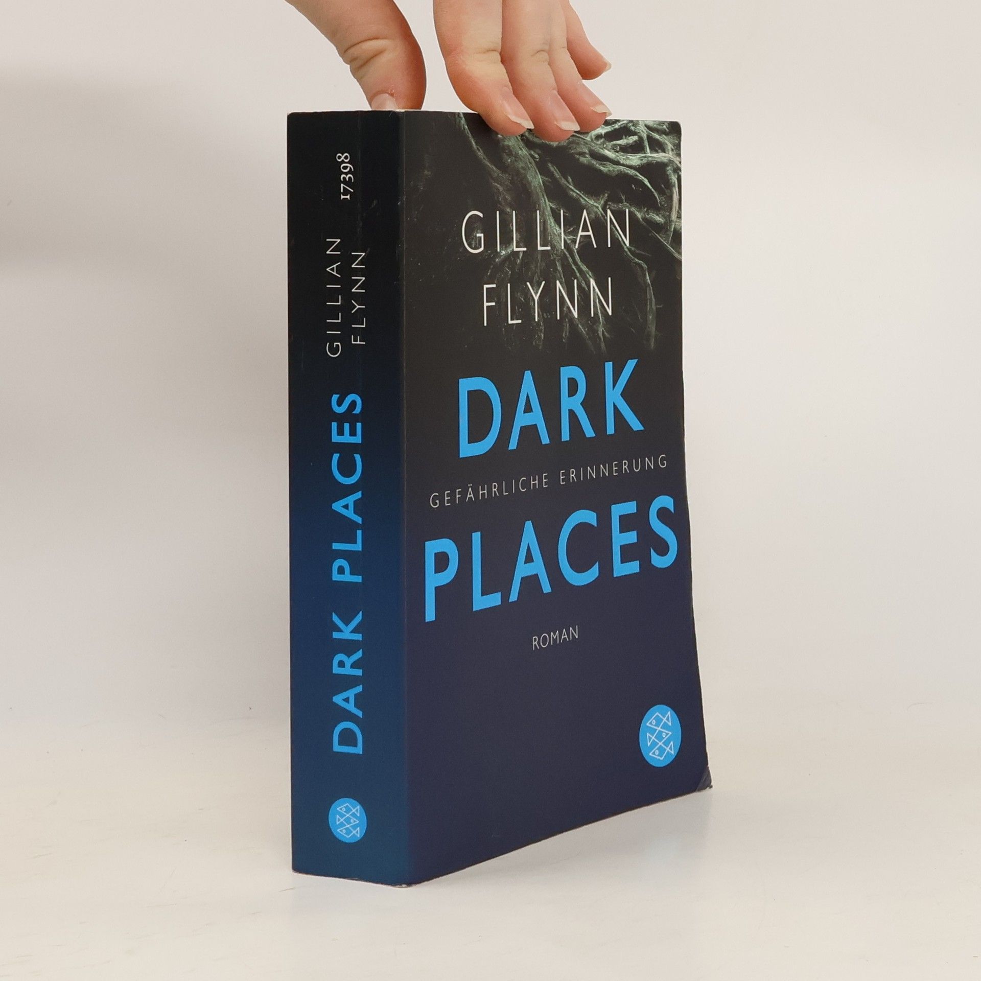 Gillian Flynn Dark Places - Gefährliche Erinnerung