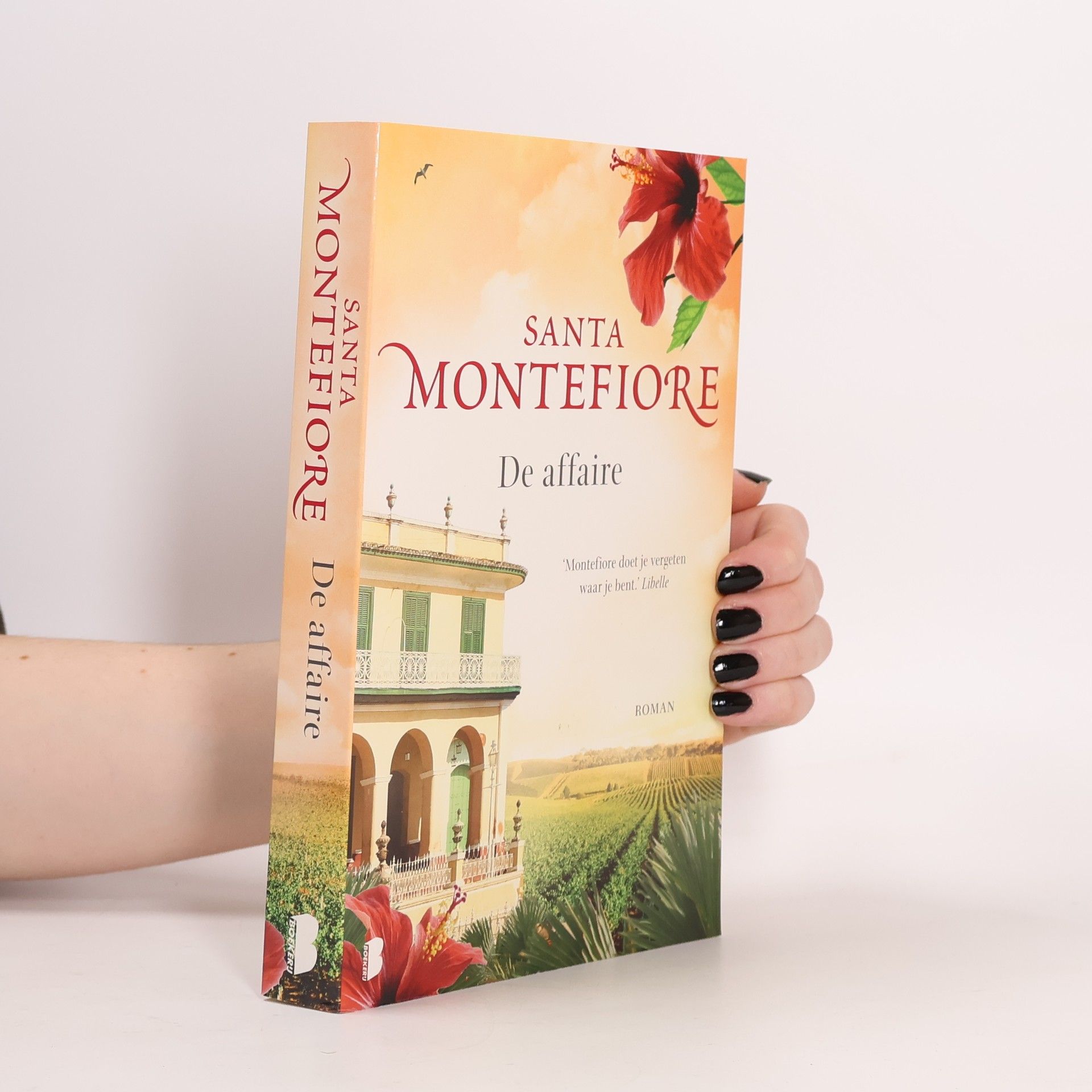 Santa Montefiore De affaire - druk 16